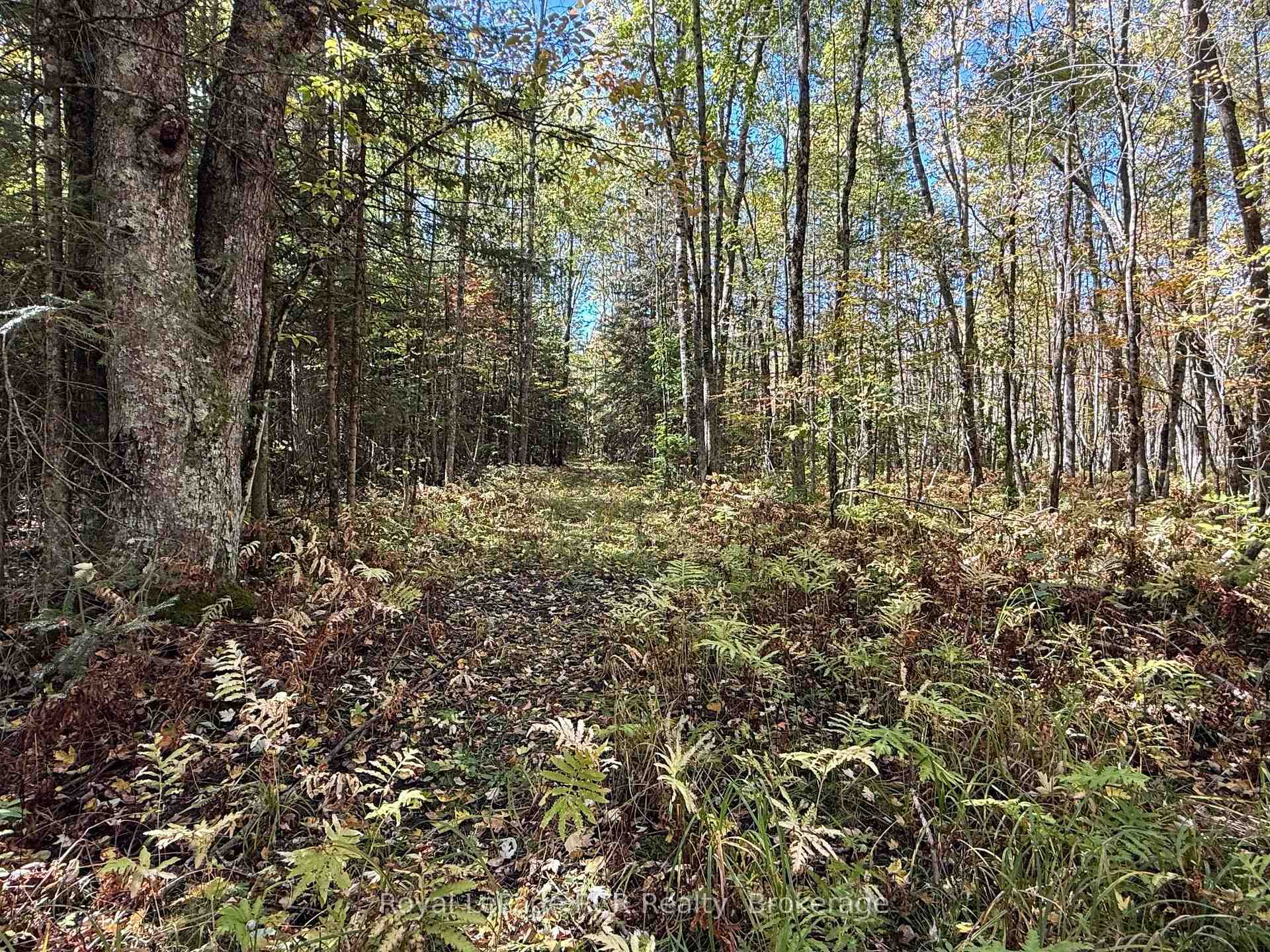 Photo 5 of PT LT 1-2 Concession 3, Georgian Bluffs — HOMEH