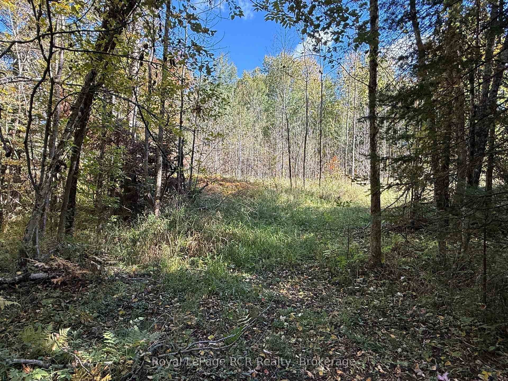 Photo 6 of PT LT 1-2 Concession 3, Georgian Bluffs — HOMEH