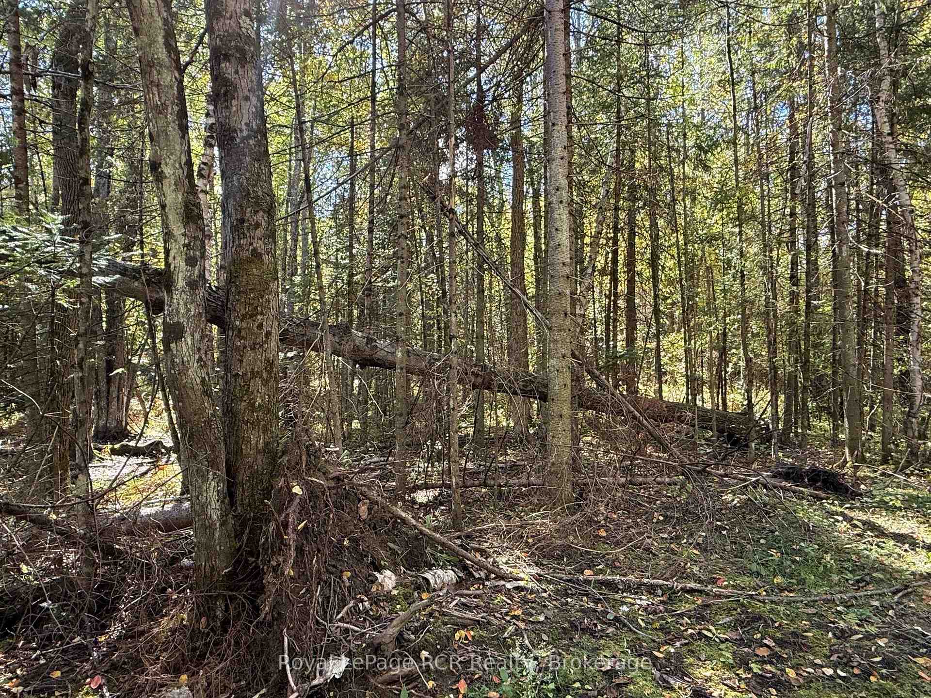 Photo 7 of PT LT 1-2 Concession 3, Georgian Bluffs — HOMEH