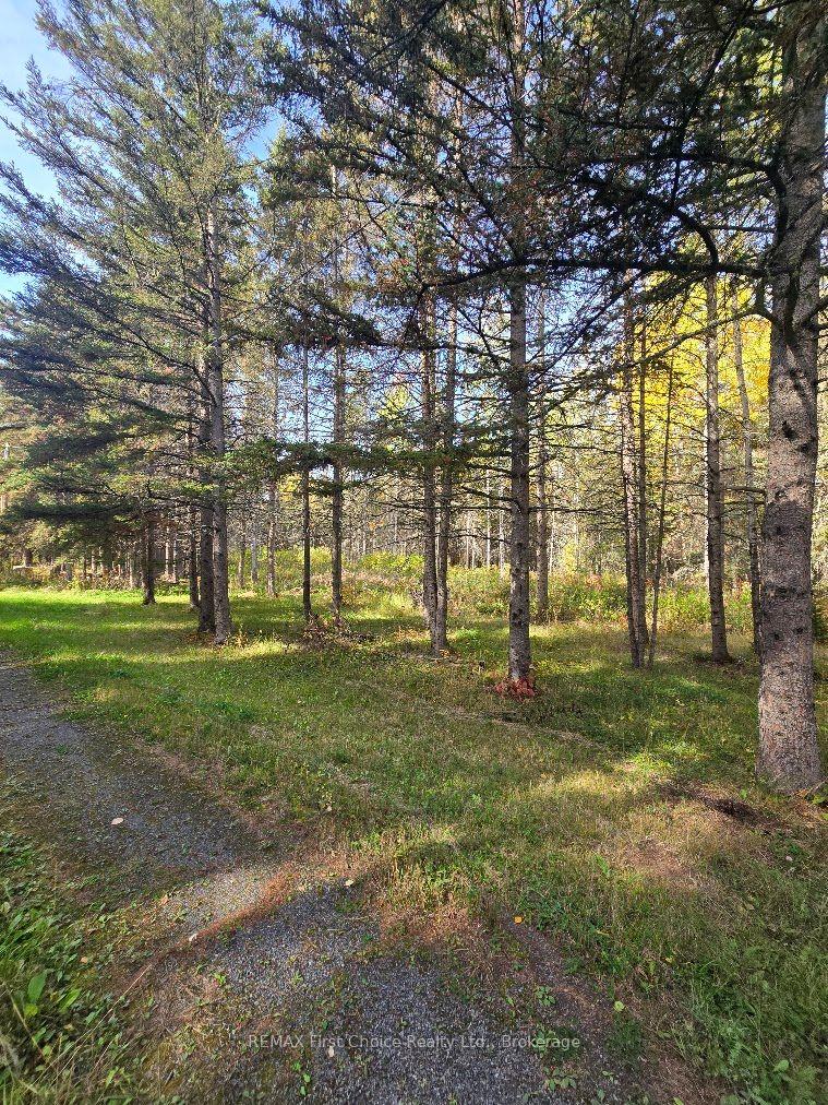 Photo 2 of 928 595 Highway, O'Connor, TB-80 — HOMEH