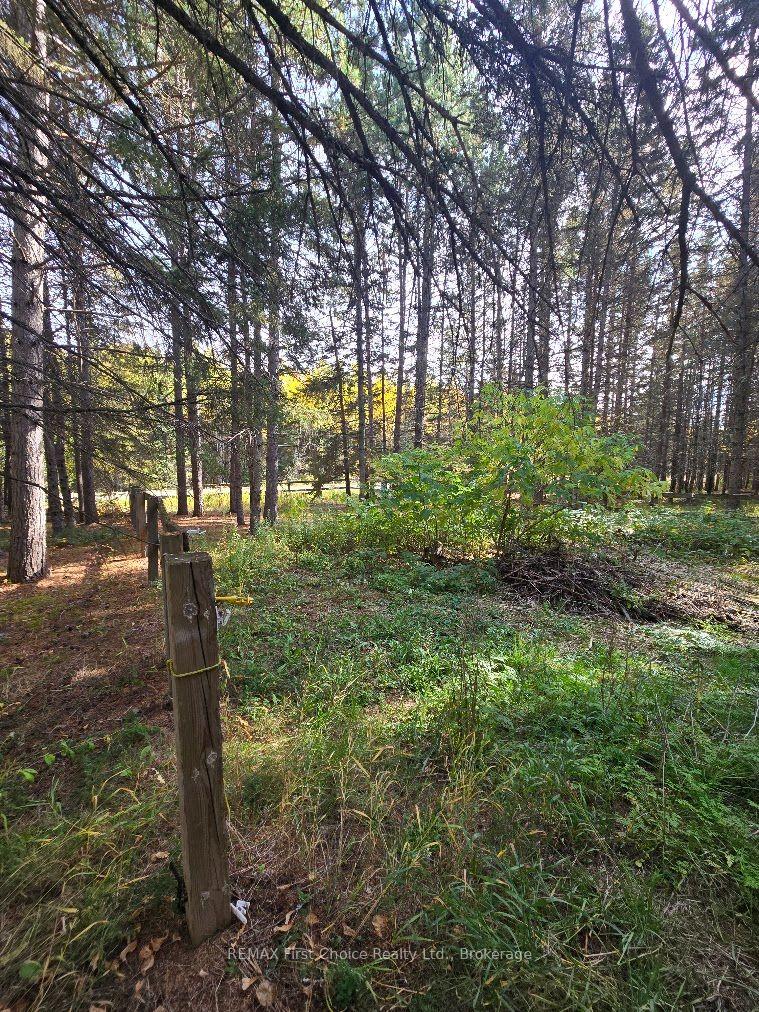 Photo 6 of 928 595 Highway, O'Connor, TB-80 — HOMEH