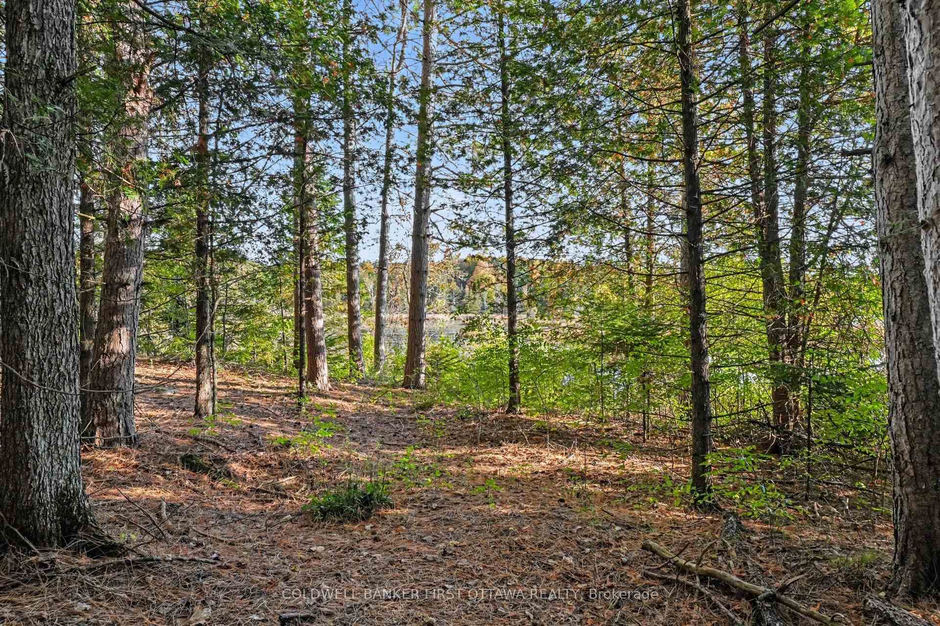 Photo 8 of 00 Fallbrook Road, Tay Valley, Bathurst/Burgess & Sherbrooke (Bathurst) Twp — HOMEH