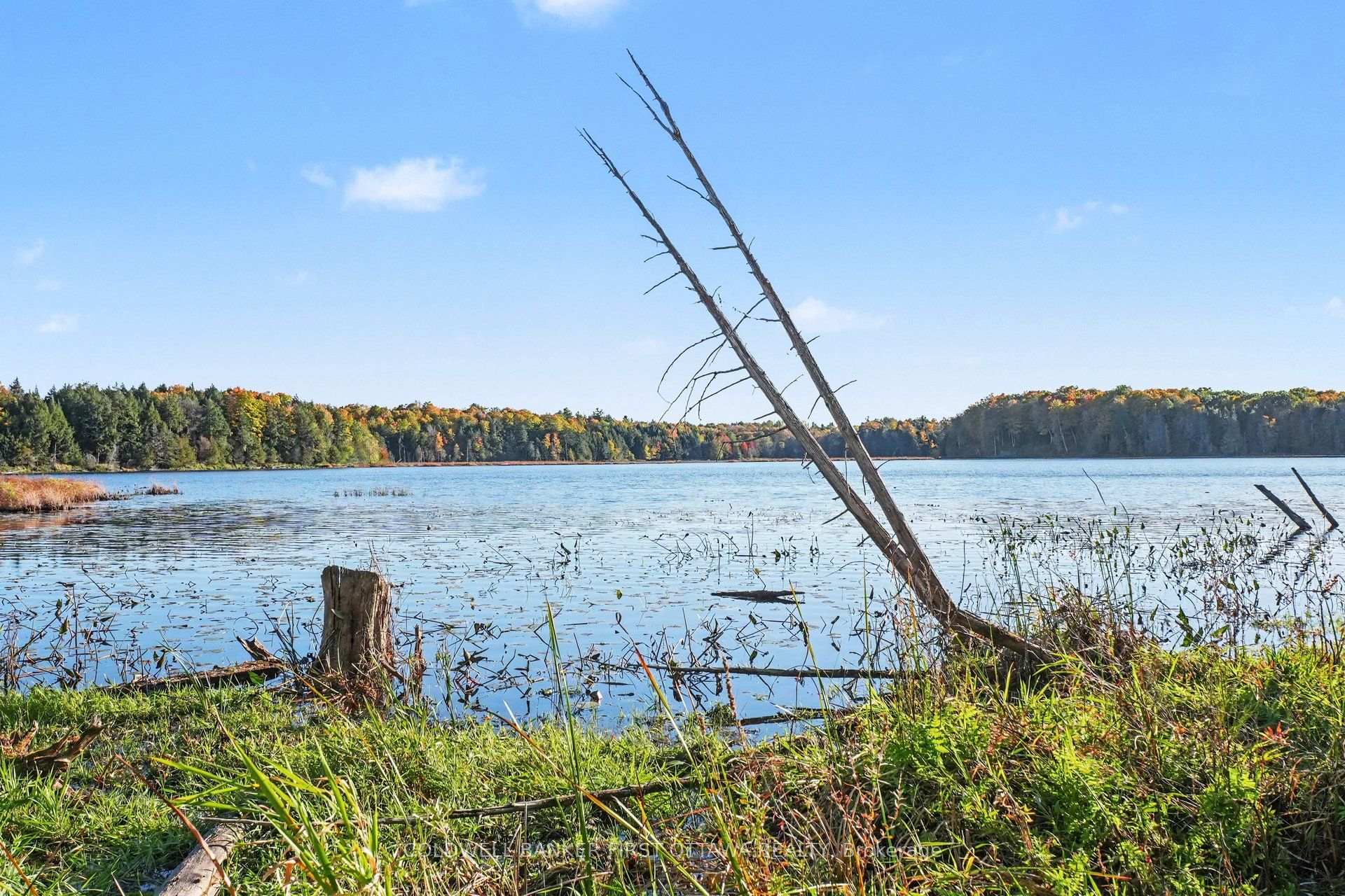 Photo 10 of 00 Fallbrook Road, Tay Valley, Bathurst/Burgess & Sherbrooke (Bathurst) Twp — HOMEH