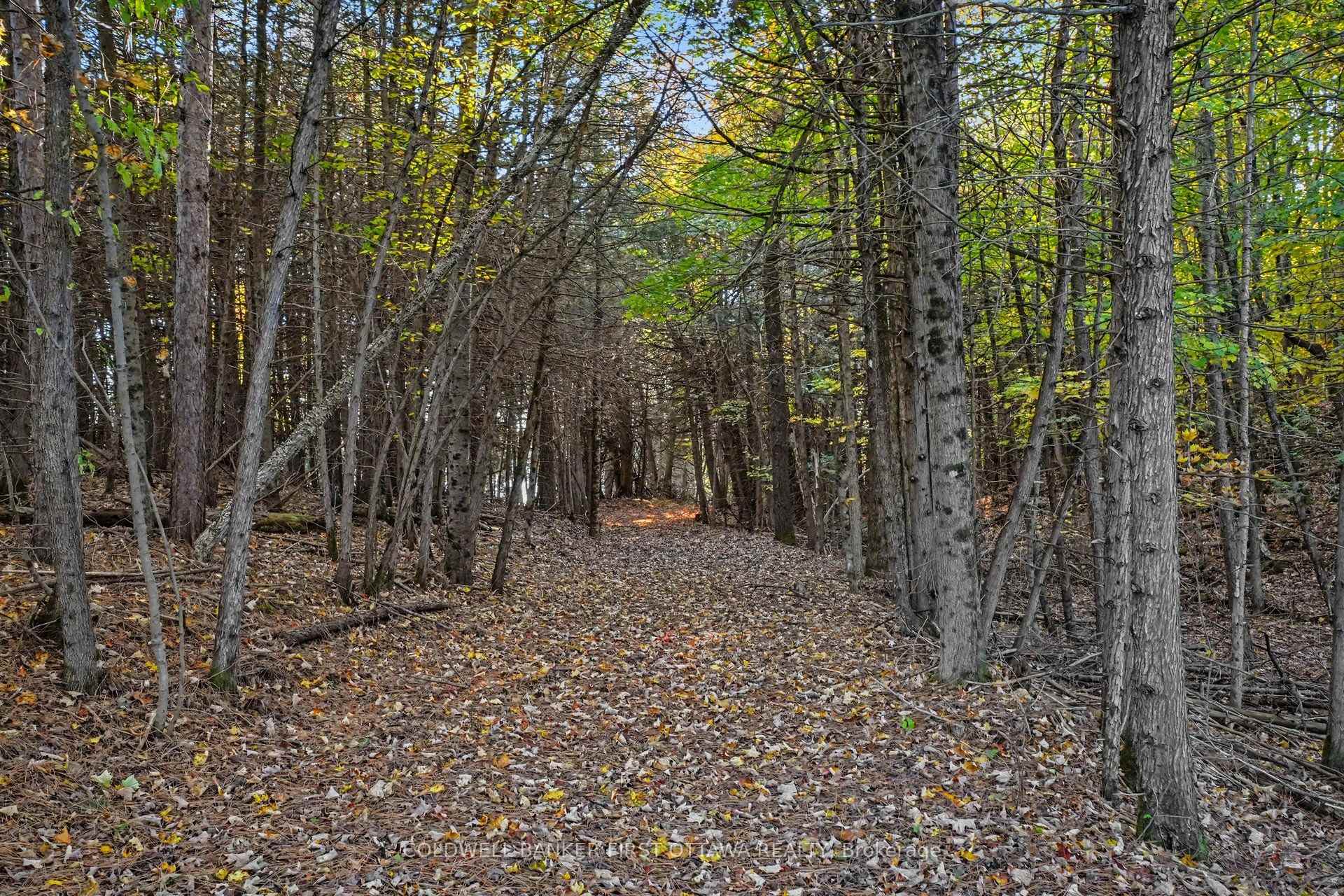 Photo 16 of 00 Fallbrook Road, Tay Valley, Bathurst/Burgess & Sherbrooke (Bathurst) Twp — HOMEH