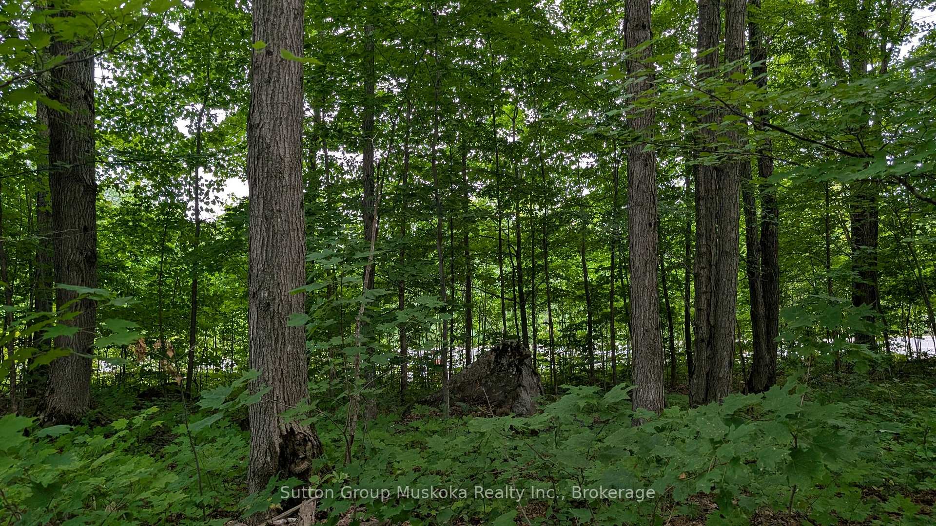Photo of 837 Aspdin Road