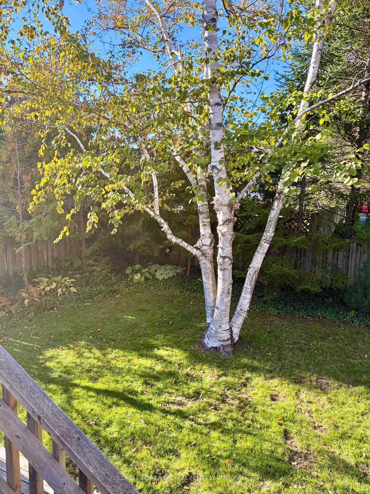 Photo 23 of 59 Pepler Place, Barrie, Sunnidale — HOMEH