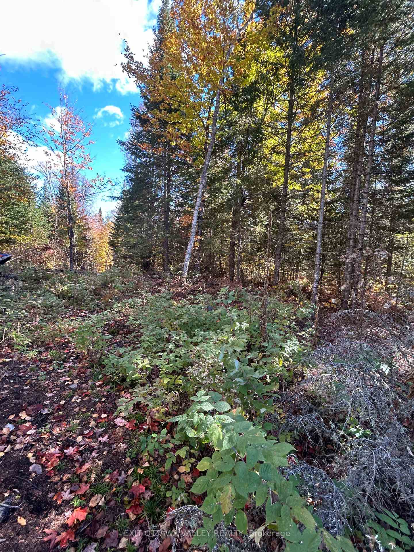 Photo 5 of Rosien Road, Bonnechere Valley, Eganville/Bonnechere Twp — HOMEH
