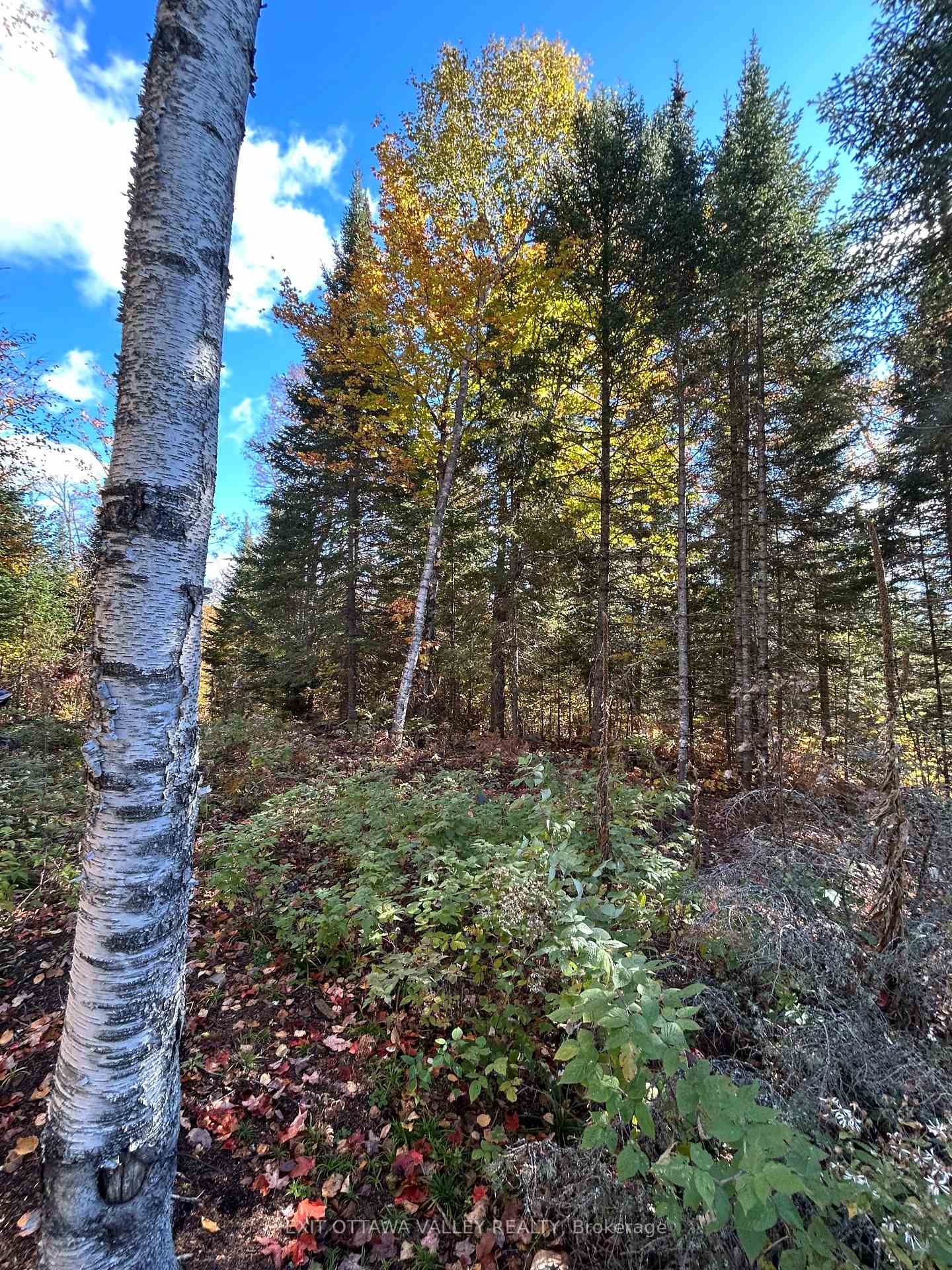 Photo 9 of Rosien Road, Bonnechere Valley, Eganville/Bonnechere Twp — HOMEH