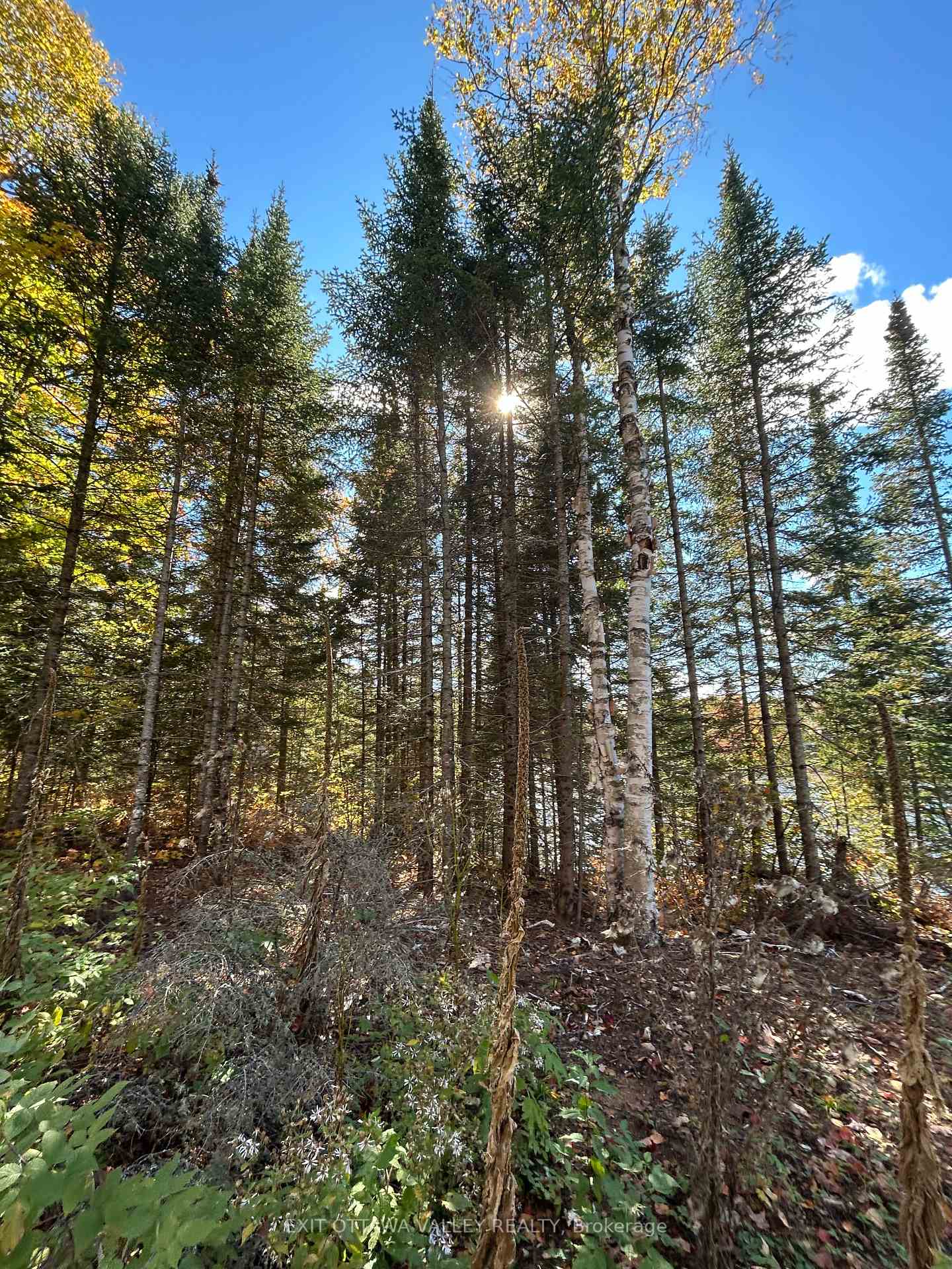 Photo 10 of Rosien Road, Bonnechere Valley, Eganville/Bonnechere Twp — HOMEH