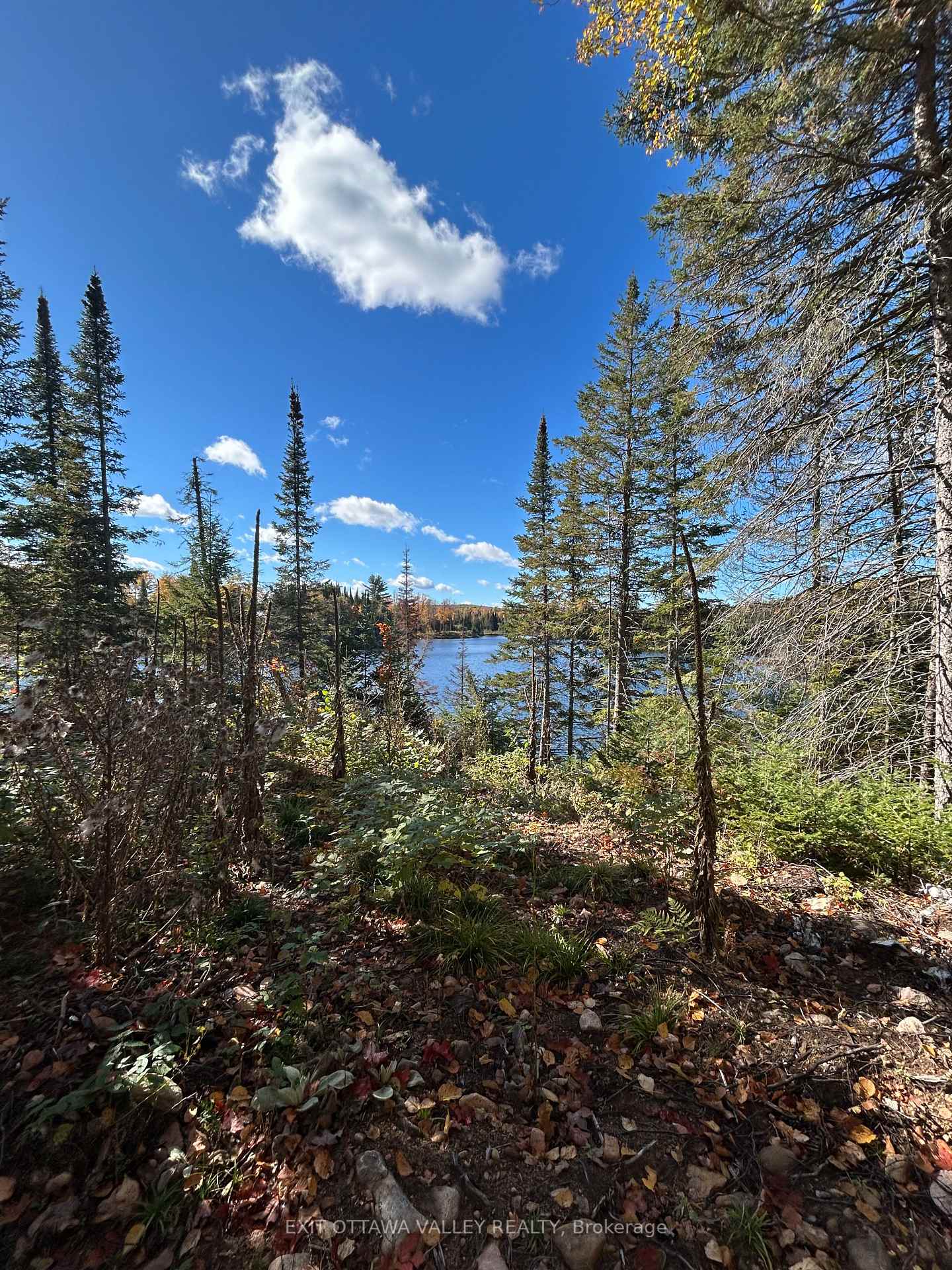 Photo 11 of Rosien Road, Bonnechere Valley, Eganville/Bonnechere Twp — HOMEH