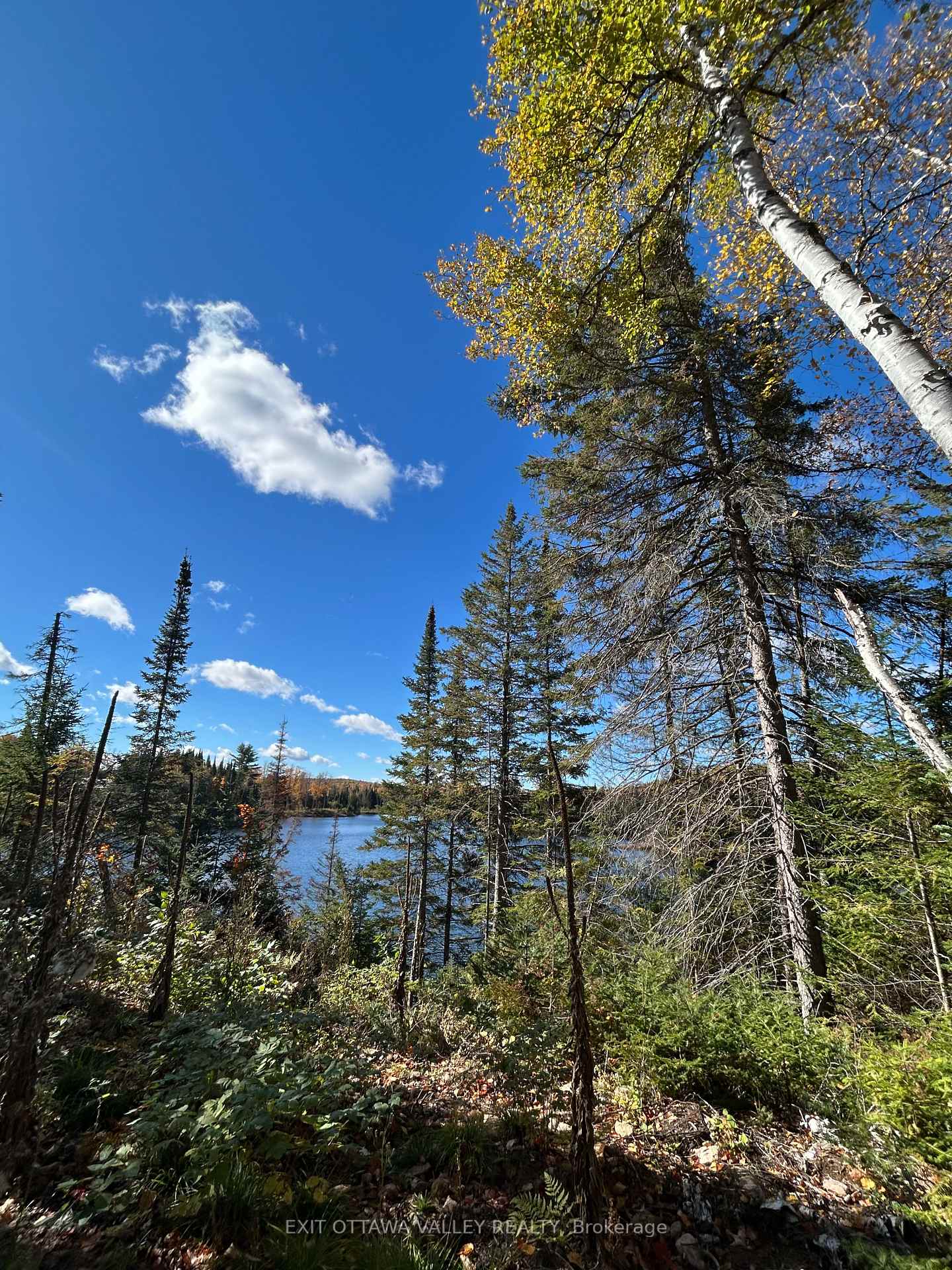 Photo 12 of Rosien Road, Bonnechere Valley, Eganville/Bonnechere Twp — HOMEH