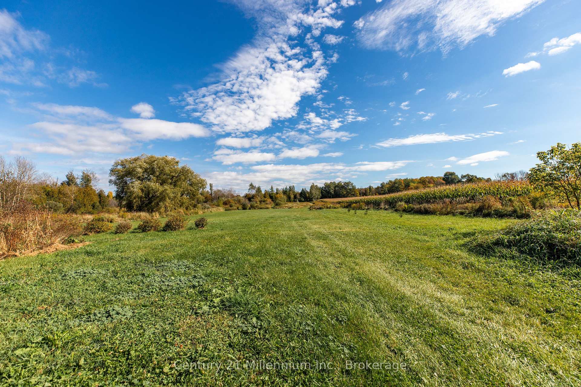 Photo 12 of 42532 Grey Road 109, West Grey — HOMEH