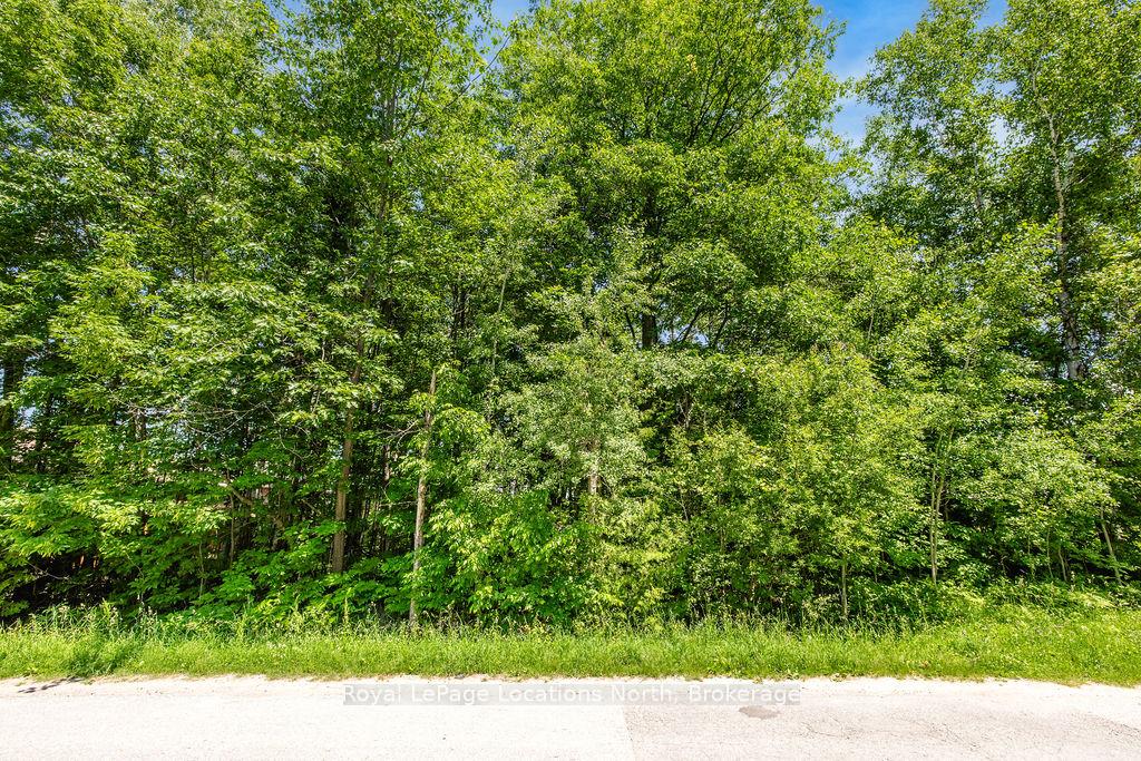 Photo 10 of 79 Smallman Drive, Wasaga Beach — HOMEH