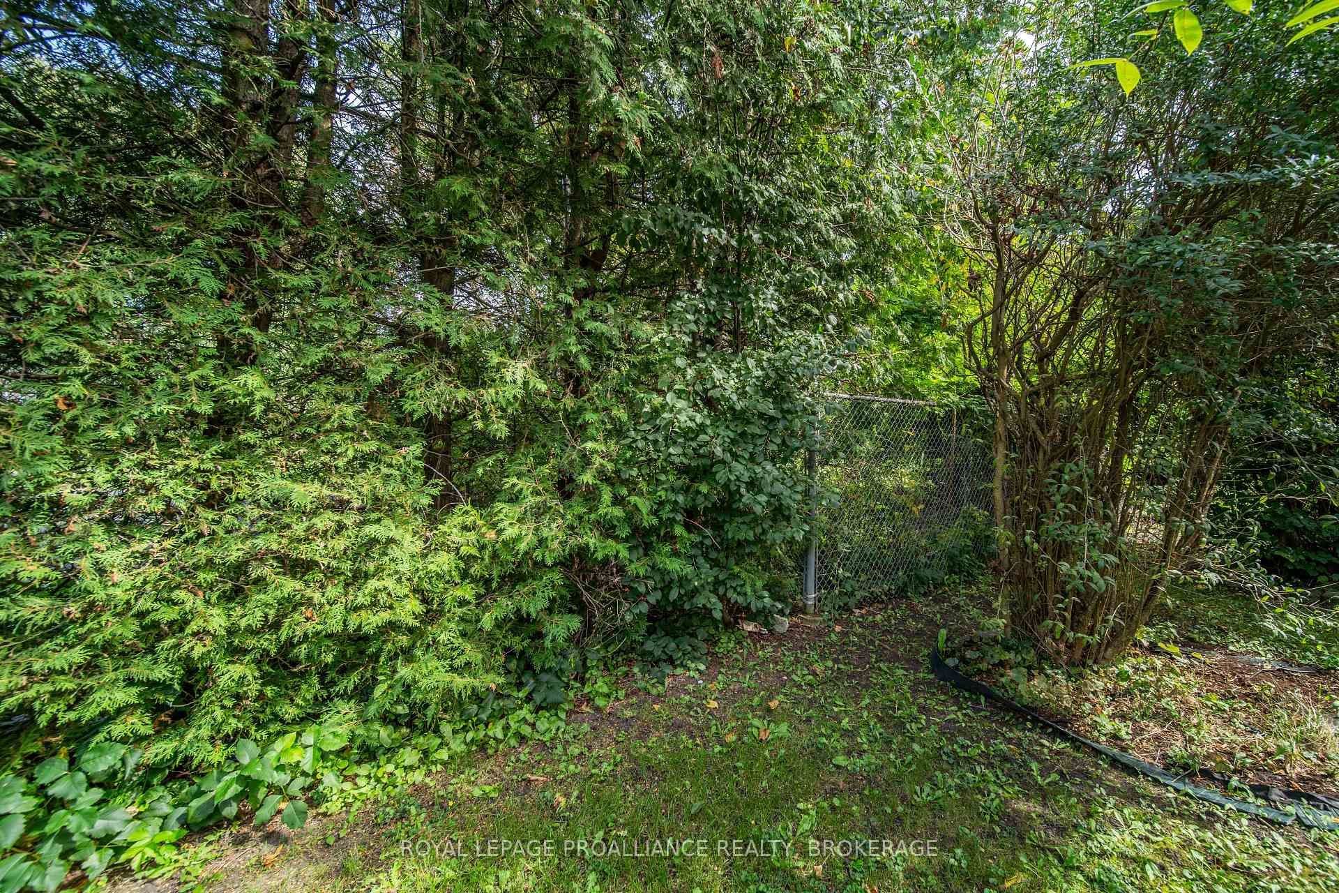 Photo 25 of Unit 23, 4427 Bath Road, Loyalist, Amherstview — HOMEH