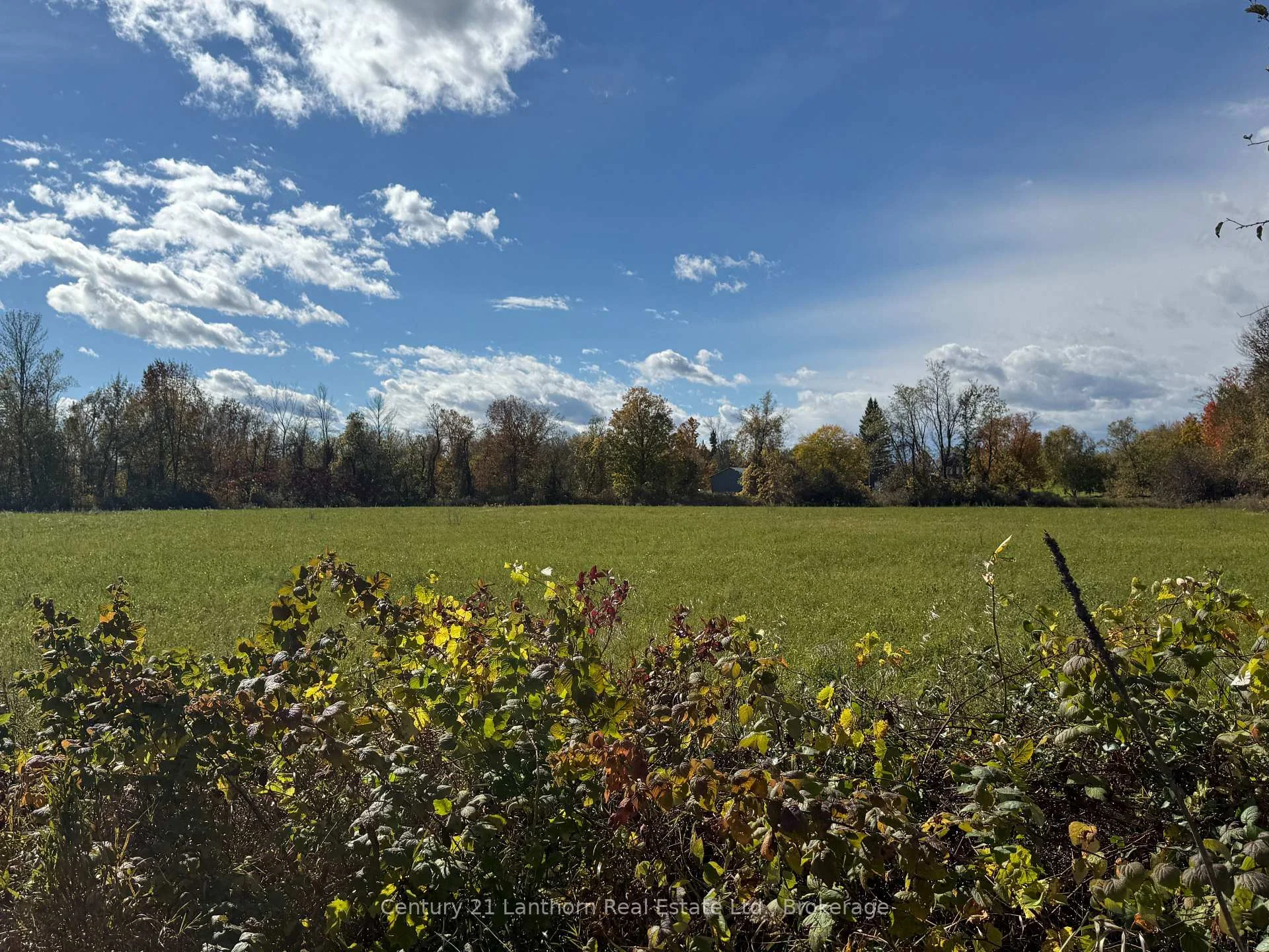 Photo 14 of 143 Preston Road, Centre Hastings — HOMEH