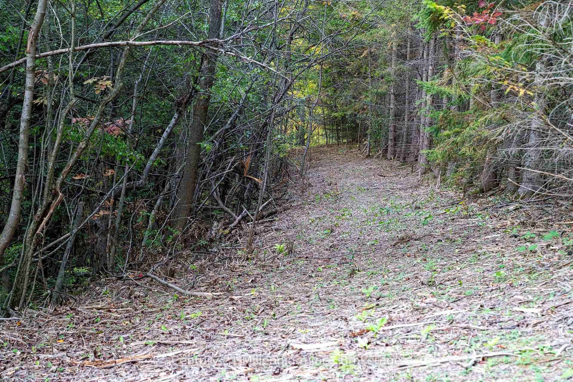 Photo 49 of 516557 7th Line, Blue Mountains — HOMEH