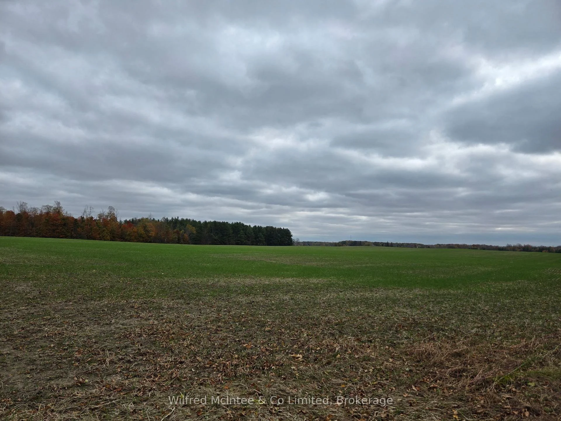Photo 2 of 90654 Gilmore Line, Morris Turnberry, Turnberry — HOMEH