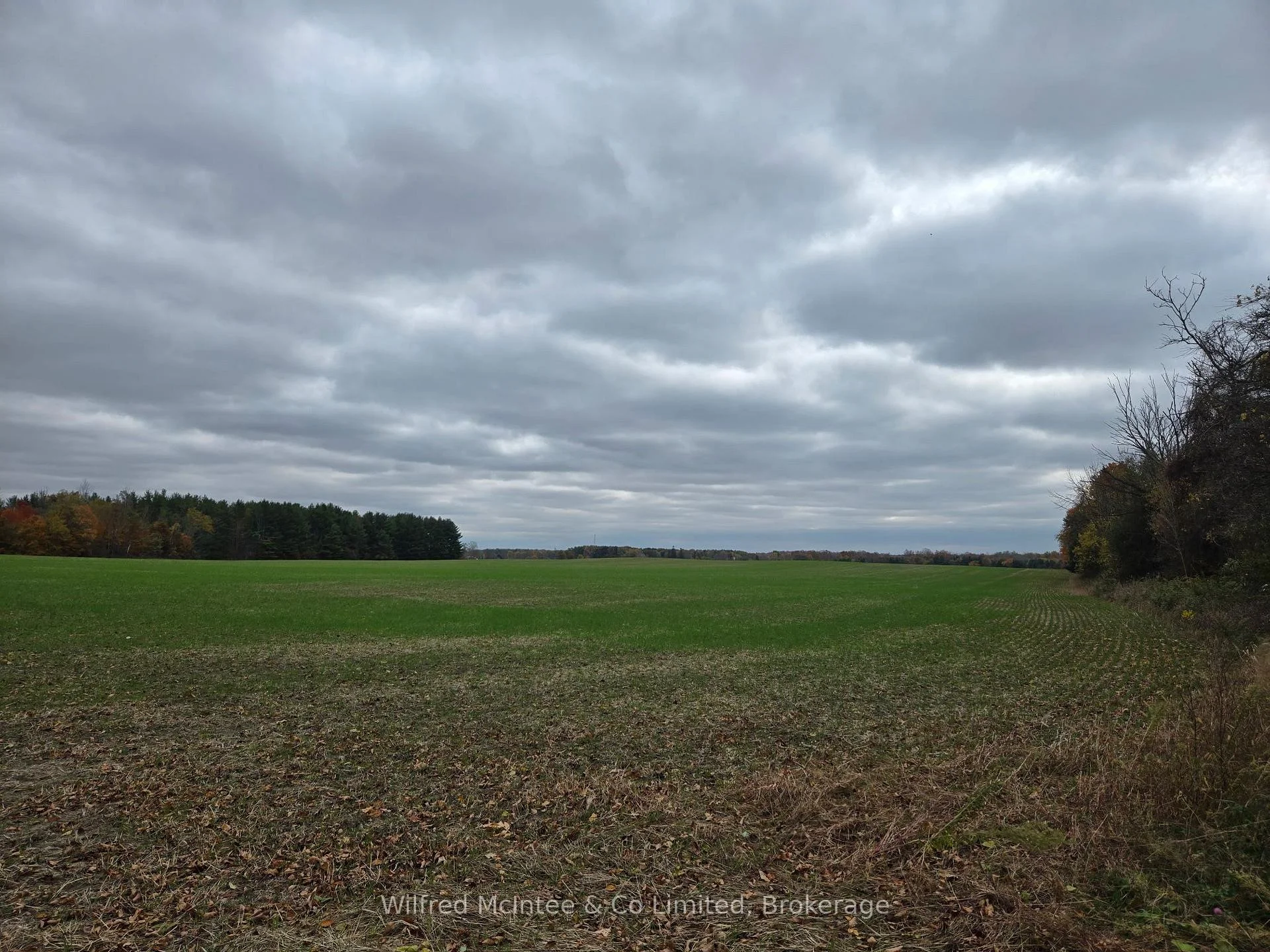 Photo 3 of 90654 Gilmore Line, Morris Turnberry, Turnberry — HOMEH