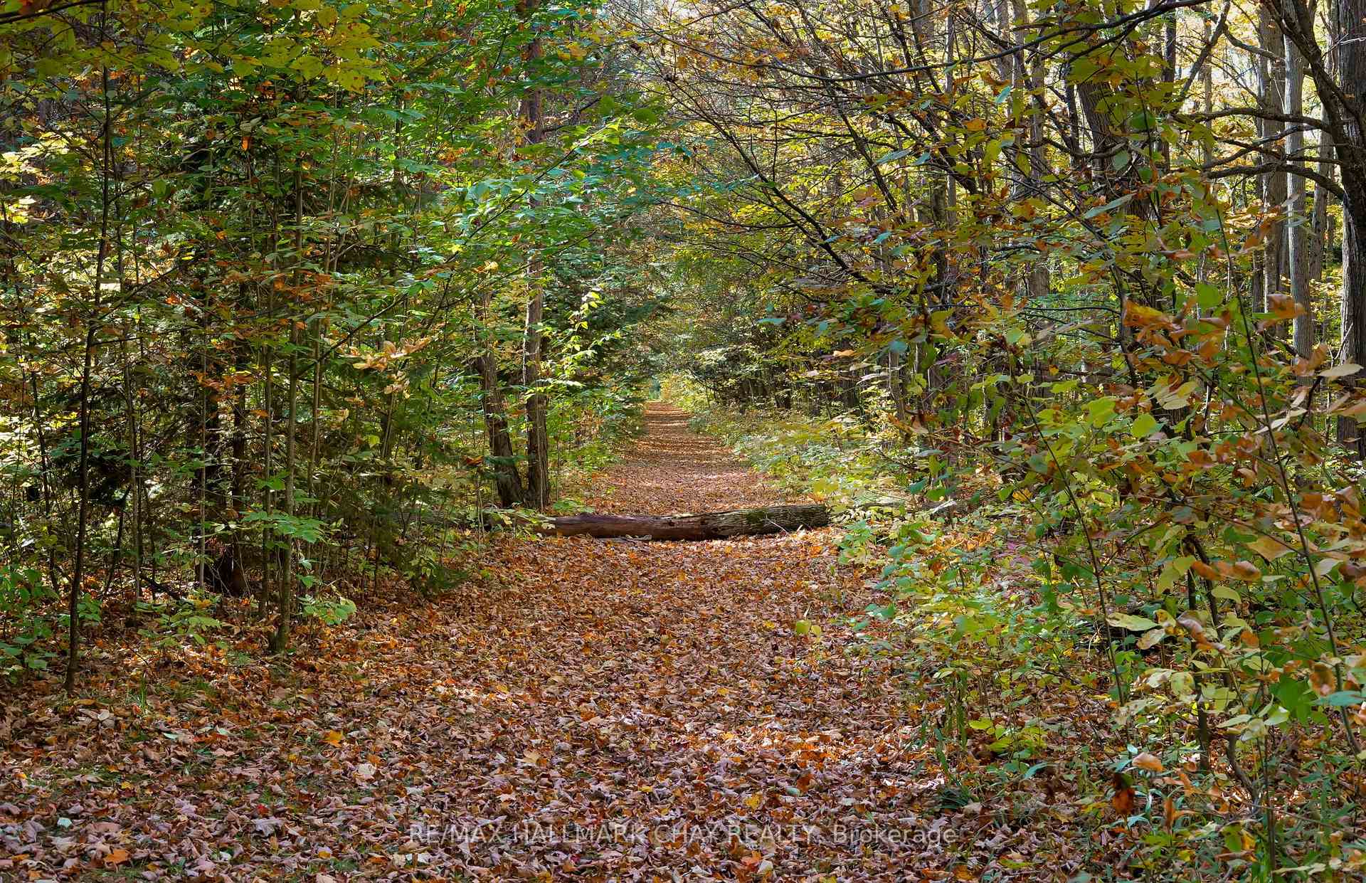 Photo 47 of 667467 20th Sideroad, Mulmur, Rural Mulmur — HOMEH