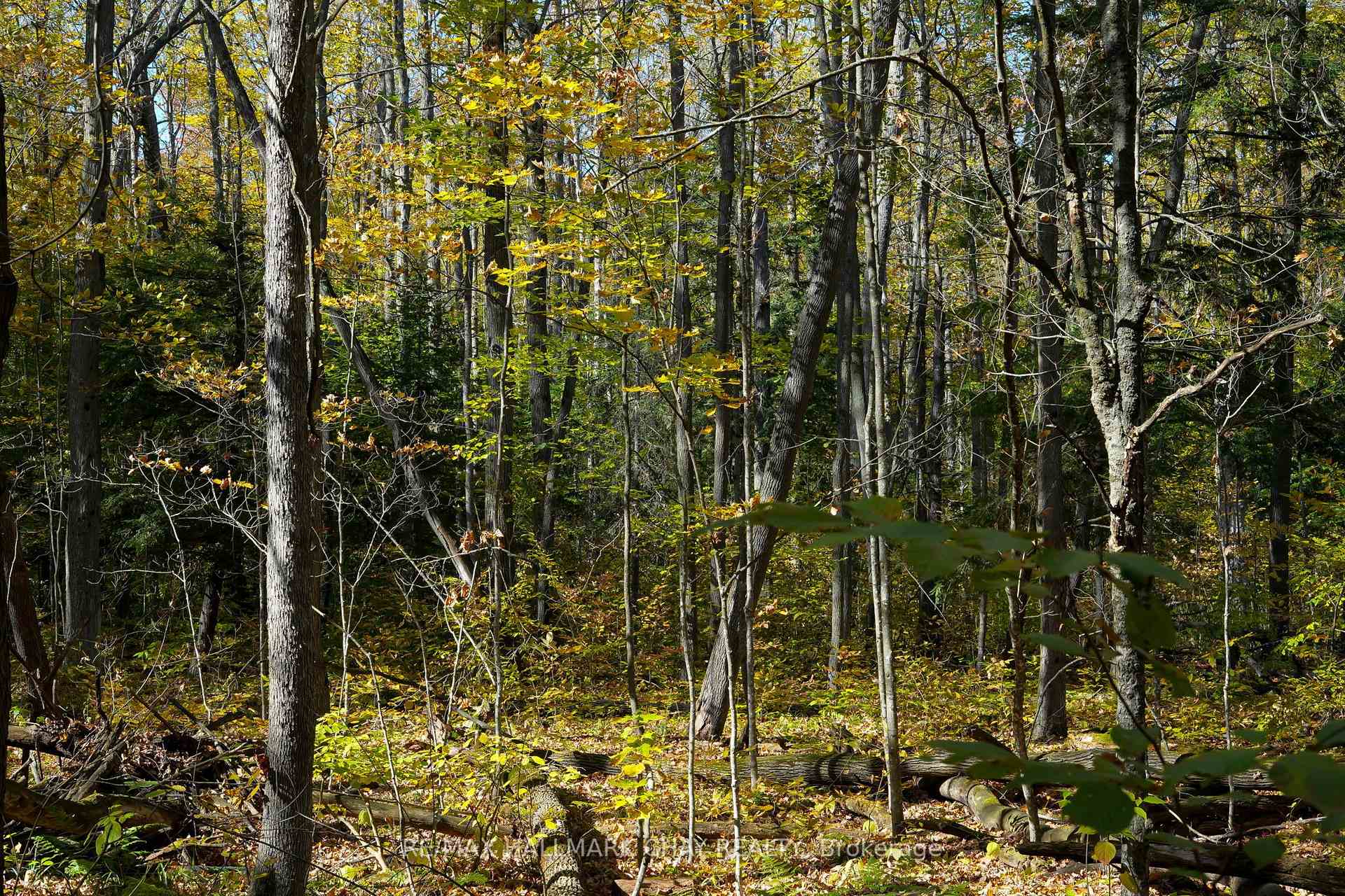 Photo 48 of 667467 20th Sideroad, Mulmur, Rural Mulmur — HOMEH