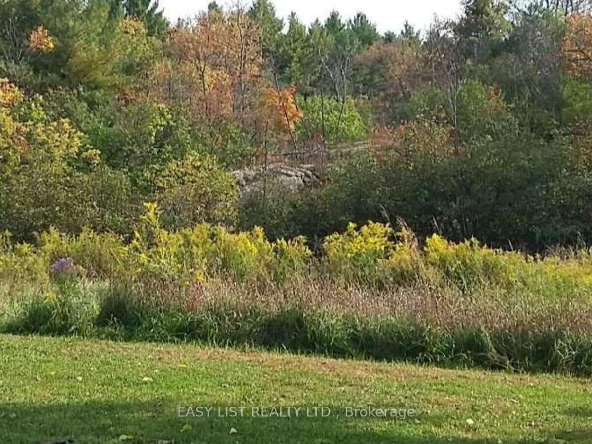 Photo 26 of 35 Kaladar Street, Tweed, Elzevir (Twp) — HOMEH