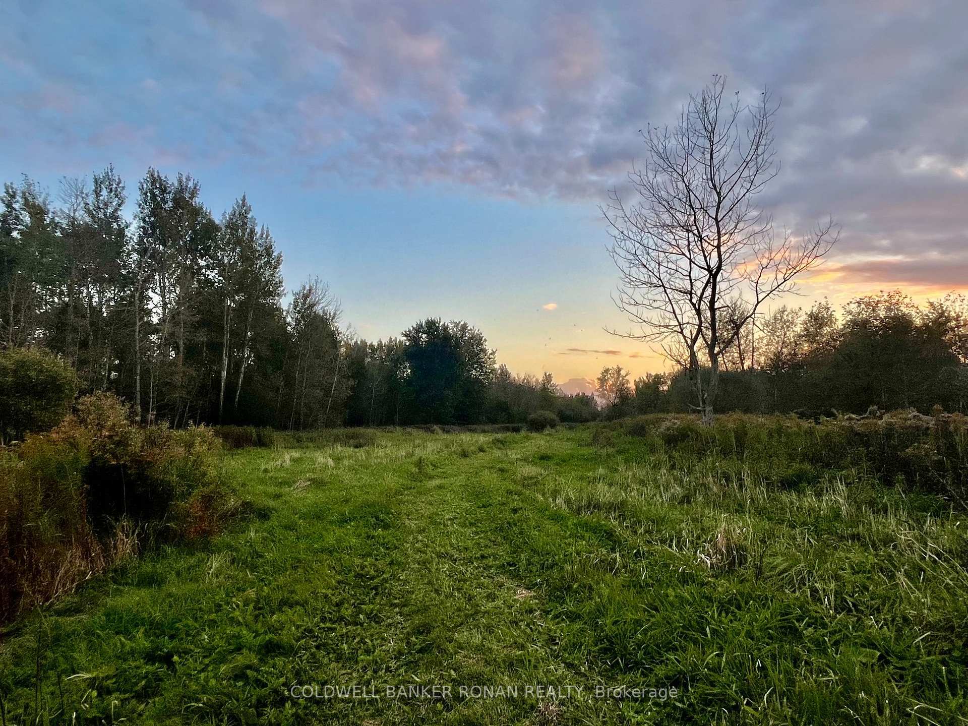 Photo 7 of 345198 15 Side Road, Amaranth, Rural Amaranth — HOMEH