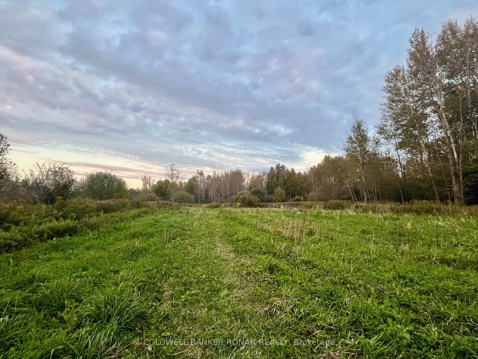 Photo 8 of 345198 15 Side Road, Amaranth, Rural Amaranth — HOMEH