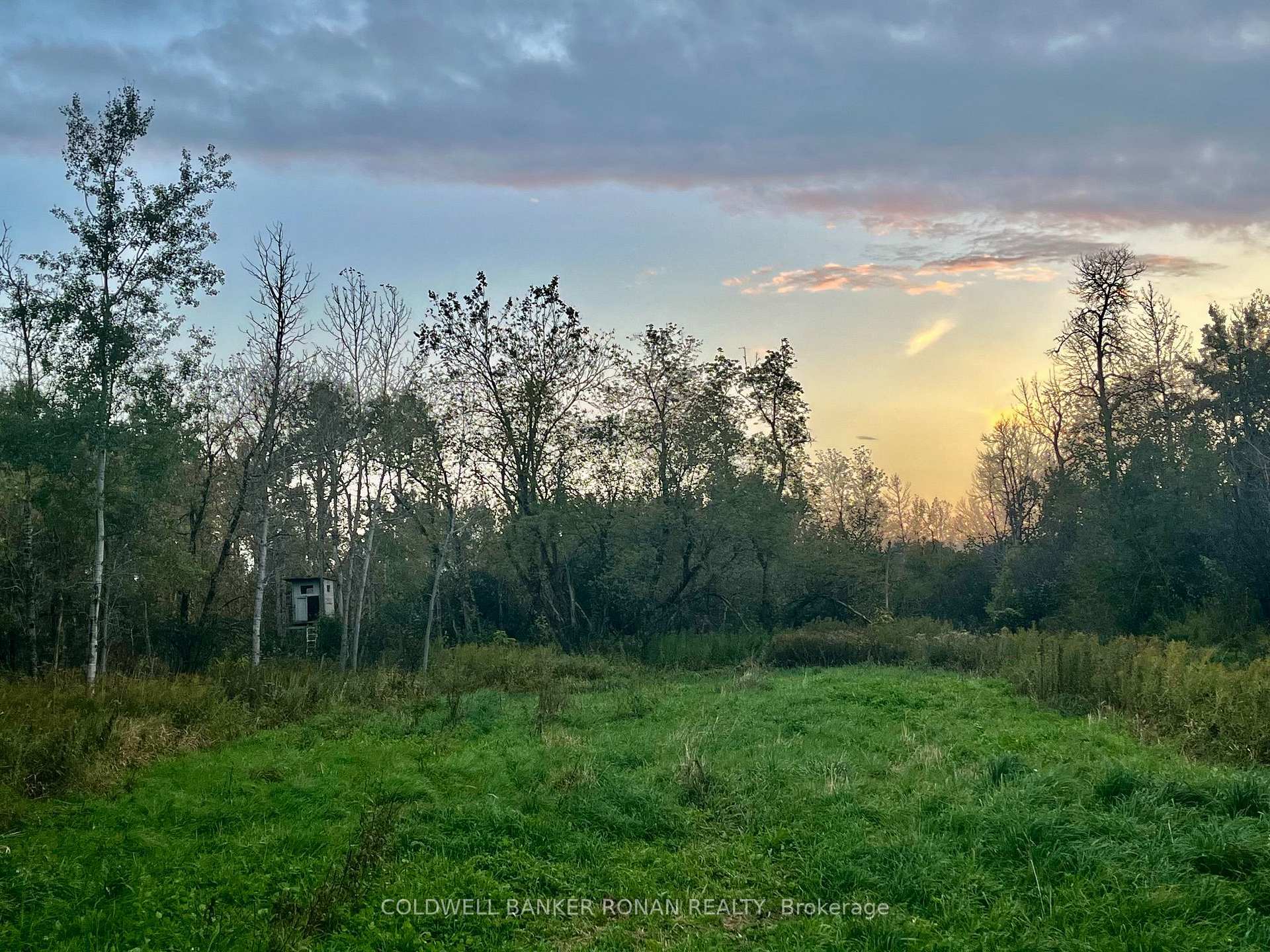 Photo 10 of 345198 15 Side Road, Amaranth, Rural Amaranth — HOMEH