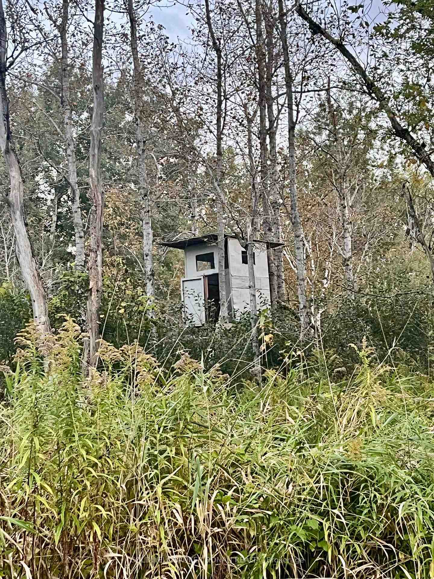 Photo 11 of 345198 15 Side Road, Amaranth, Rural Amaranth — HOMEH