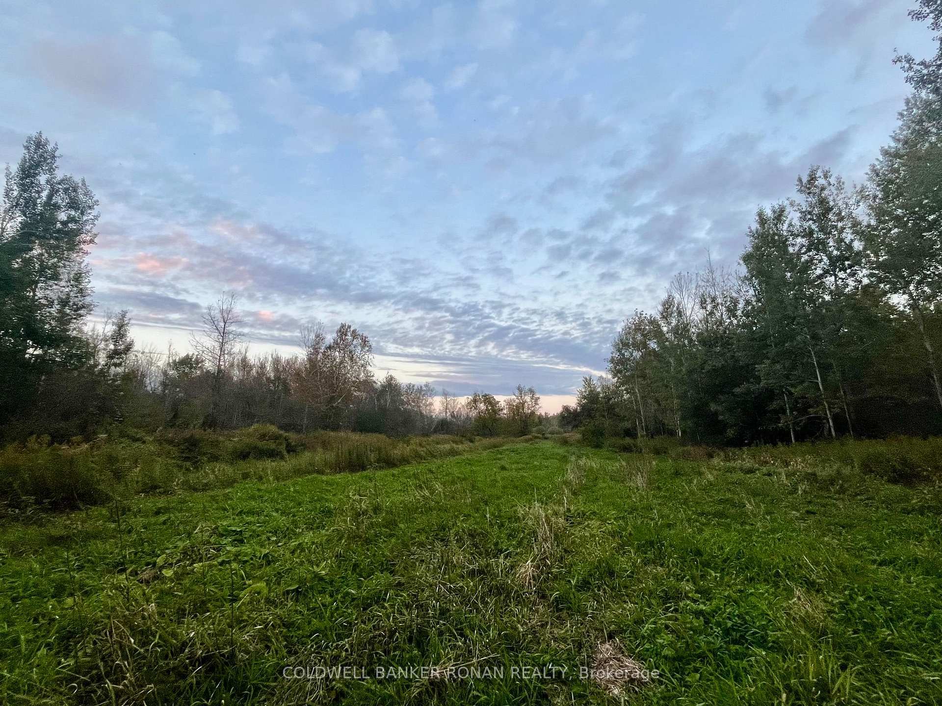 Photo 12 of 345198 15 Side Road, Amaranth, Rural Amaranth — HOMEH