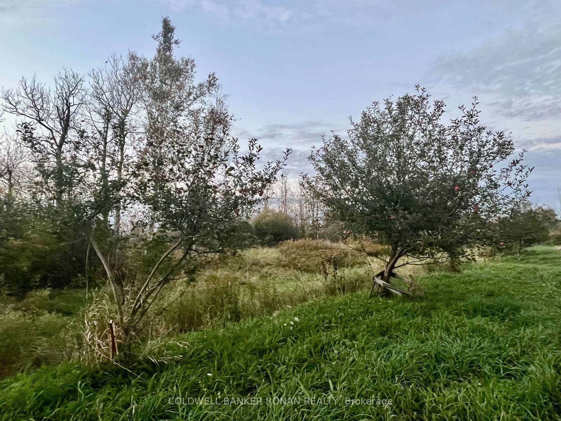 Photo 13 of 345198 15 Side Road, Amaranth, Rural Amaranth — HOMEH