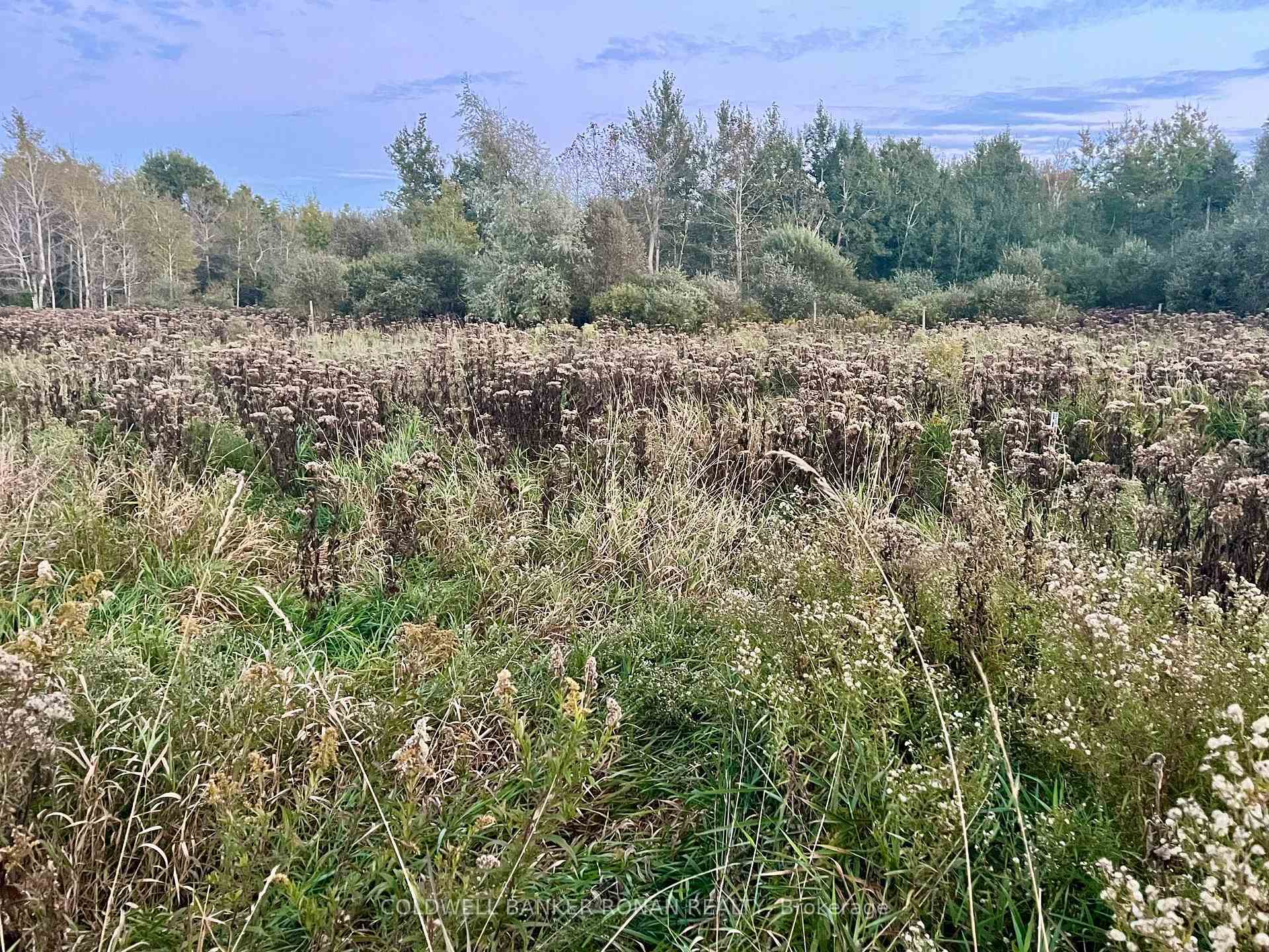 Photo 15 of 345198 15 Side Road, Amaranth, Rural Amaranth — HOMEH
