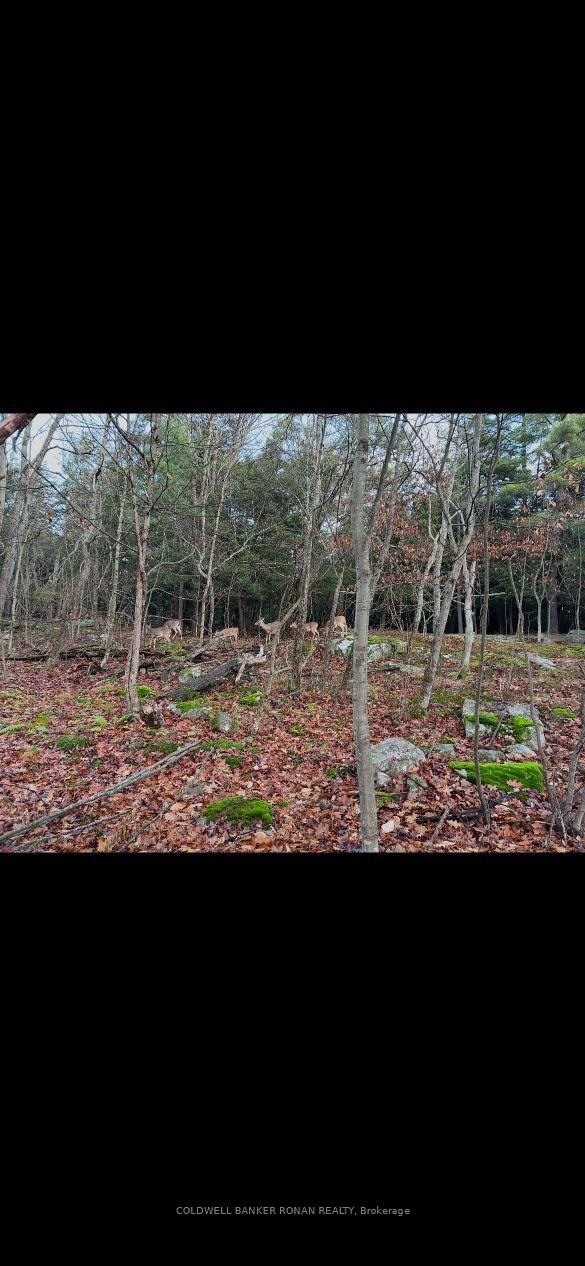 Photo 20 of 345198 15 Side Road, Amaranth, Rural Amaranth — HOMEH