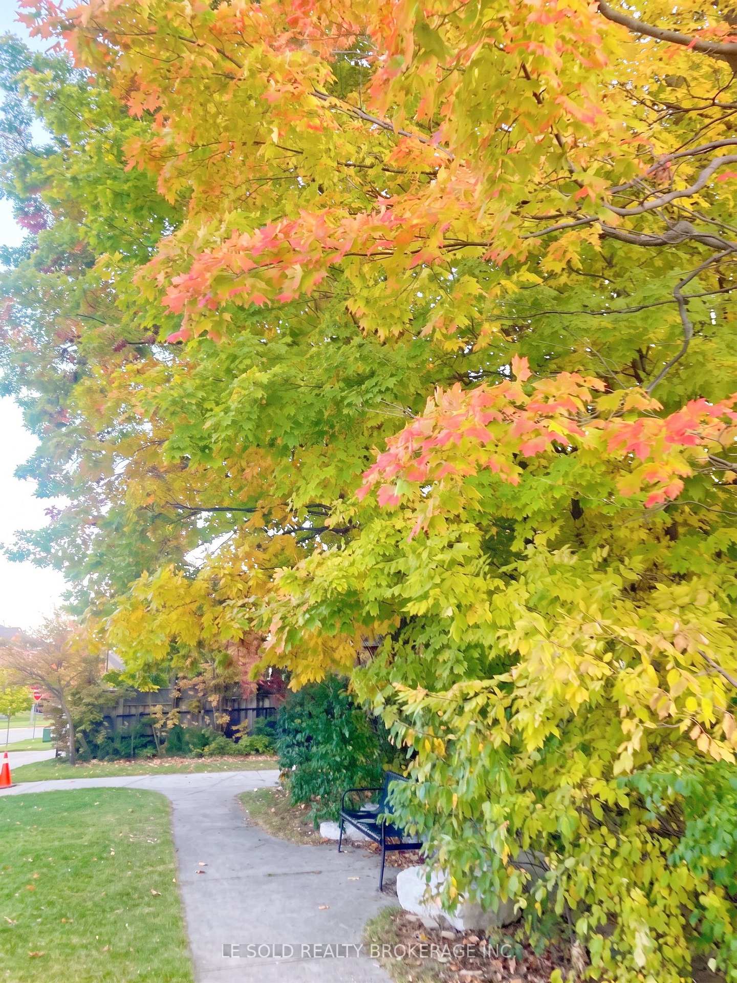 Photo 46 of 76 Larratt Lane, Richmond Hill, Westbrook — HOMEH