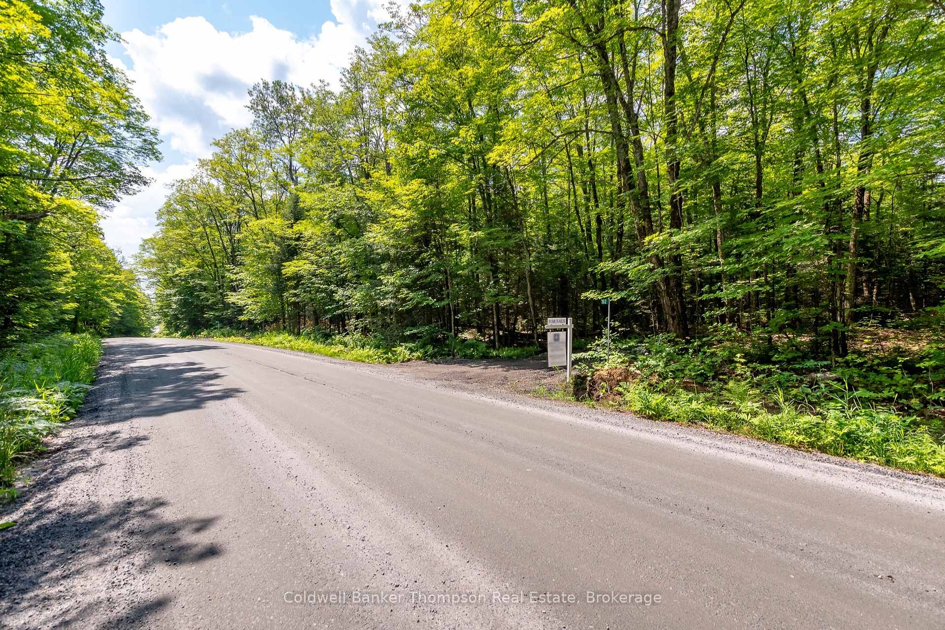 Photo 4 of 162 Ely Side Road, Armour — HOMEH