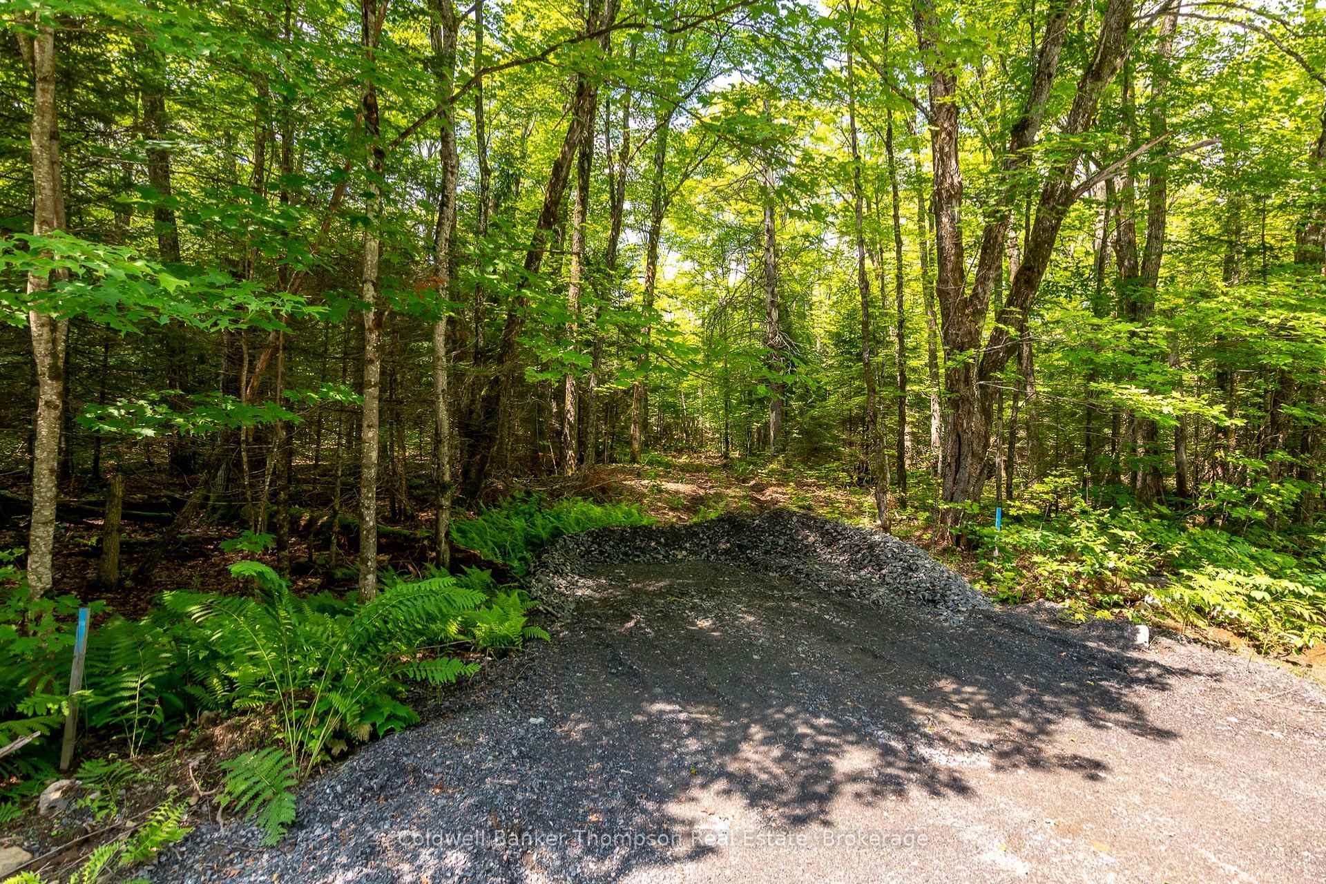 Photo 5 of 162 Ely Side Road, Armour — HOMEH