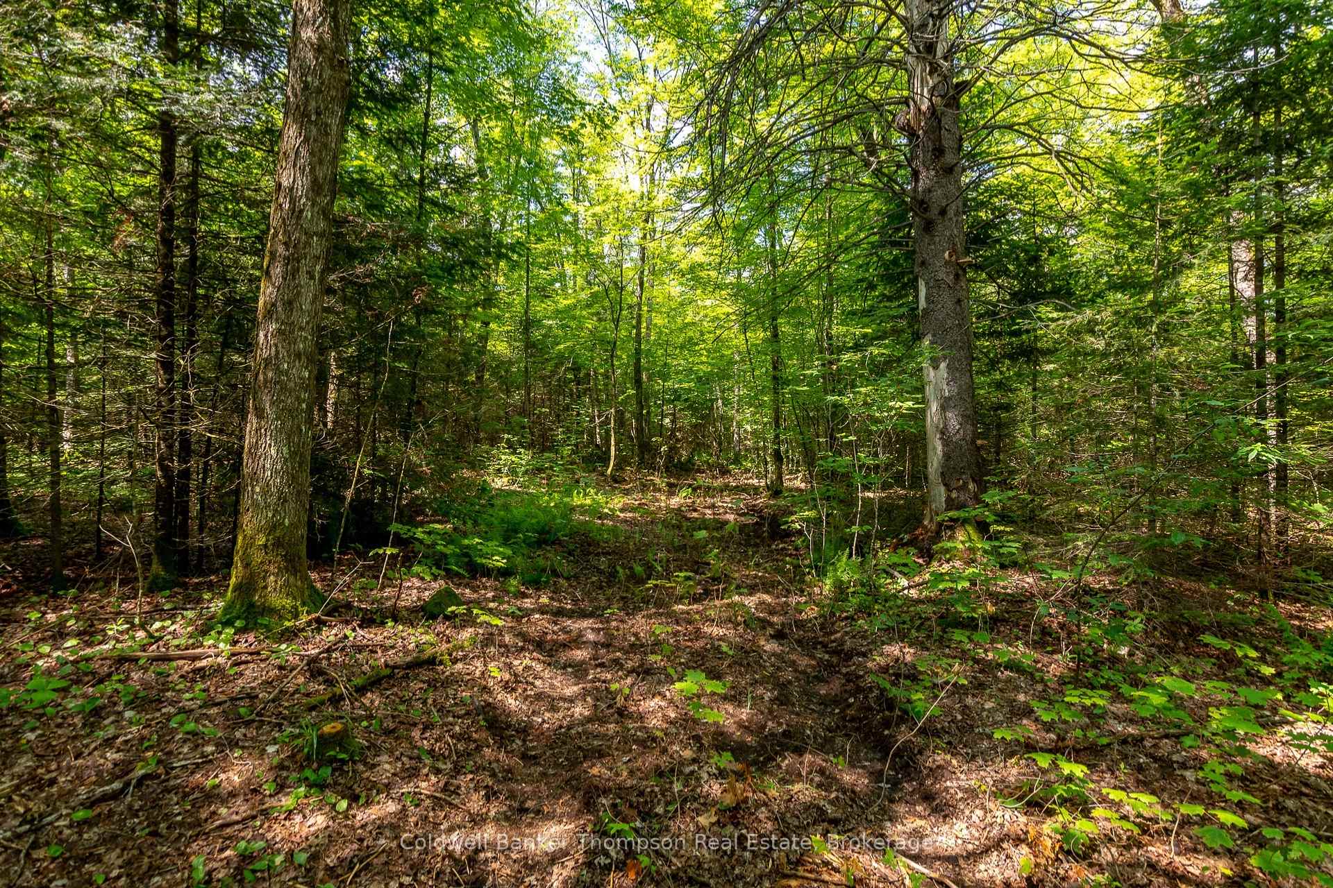 Photo 6 of 162 Ely Side Road, Armour — HOMEH
