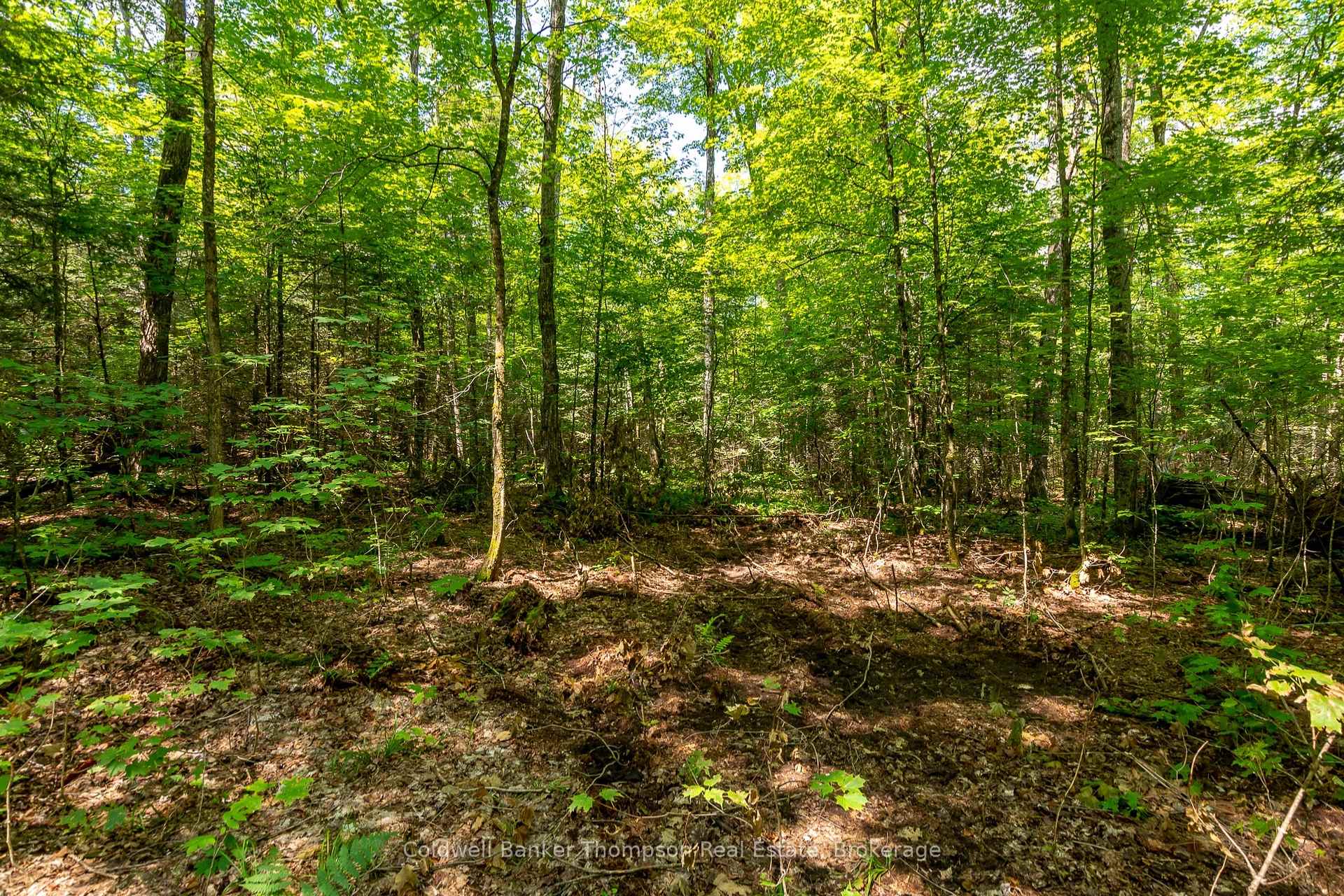 Photo 7 of 162 Ely Side Road, Armour — HOMEH