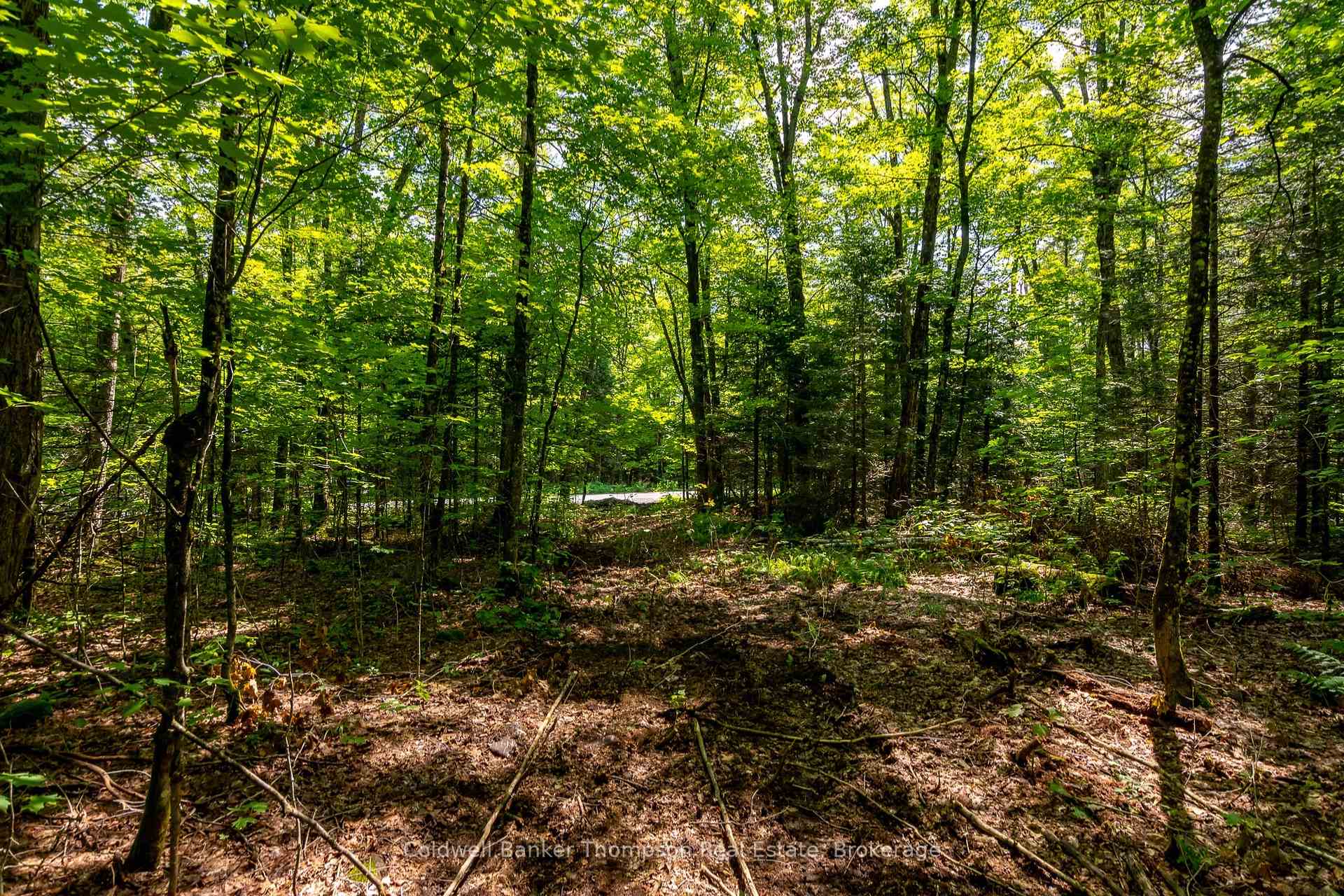 Photo 8 of 162 Ely Side Road, Armour — HOMEH