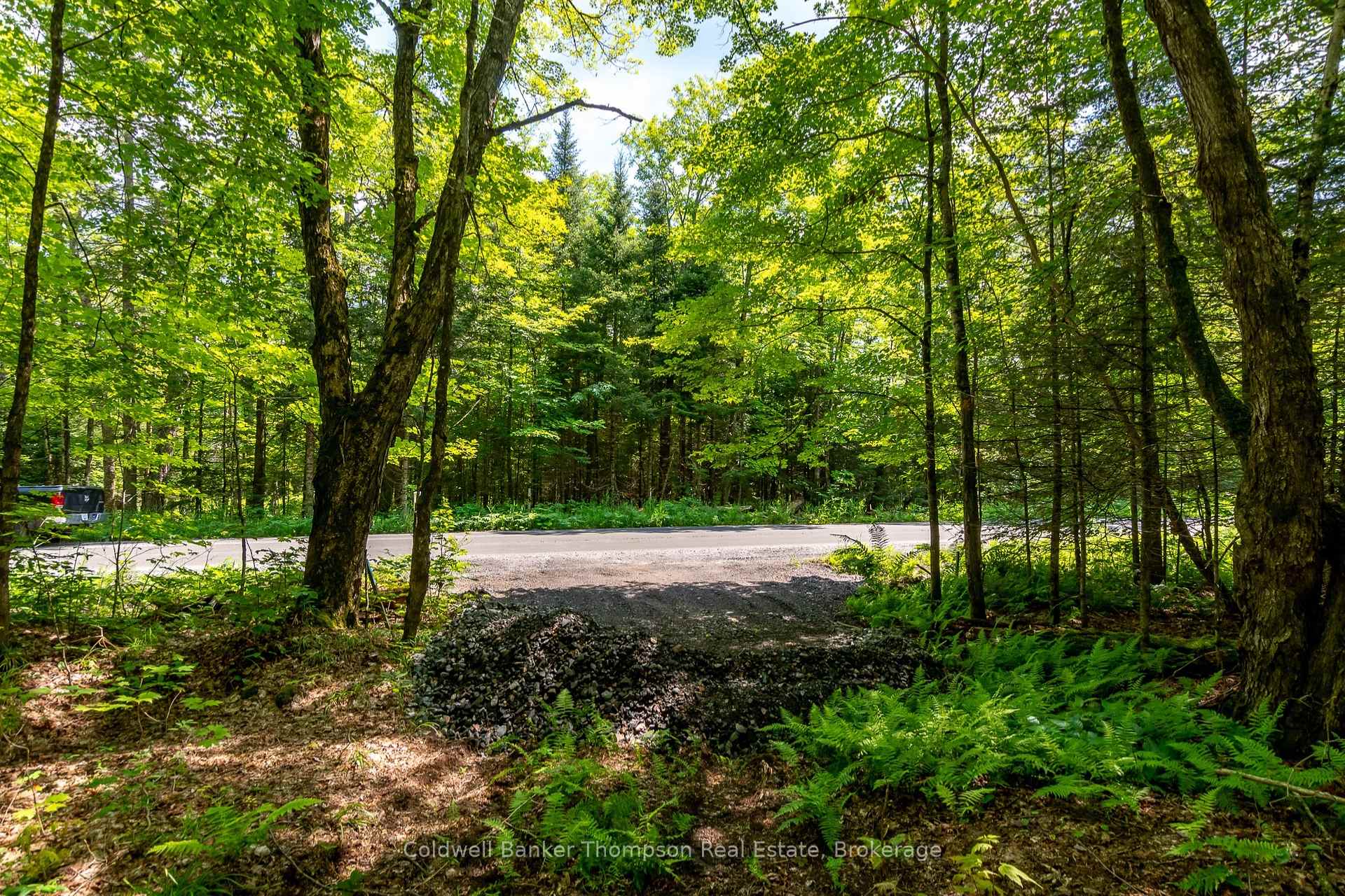 Photo 9 of 162 Ely Side Road, Armour — HOMEH