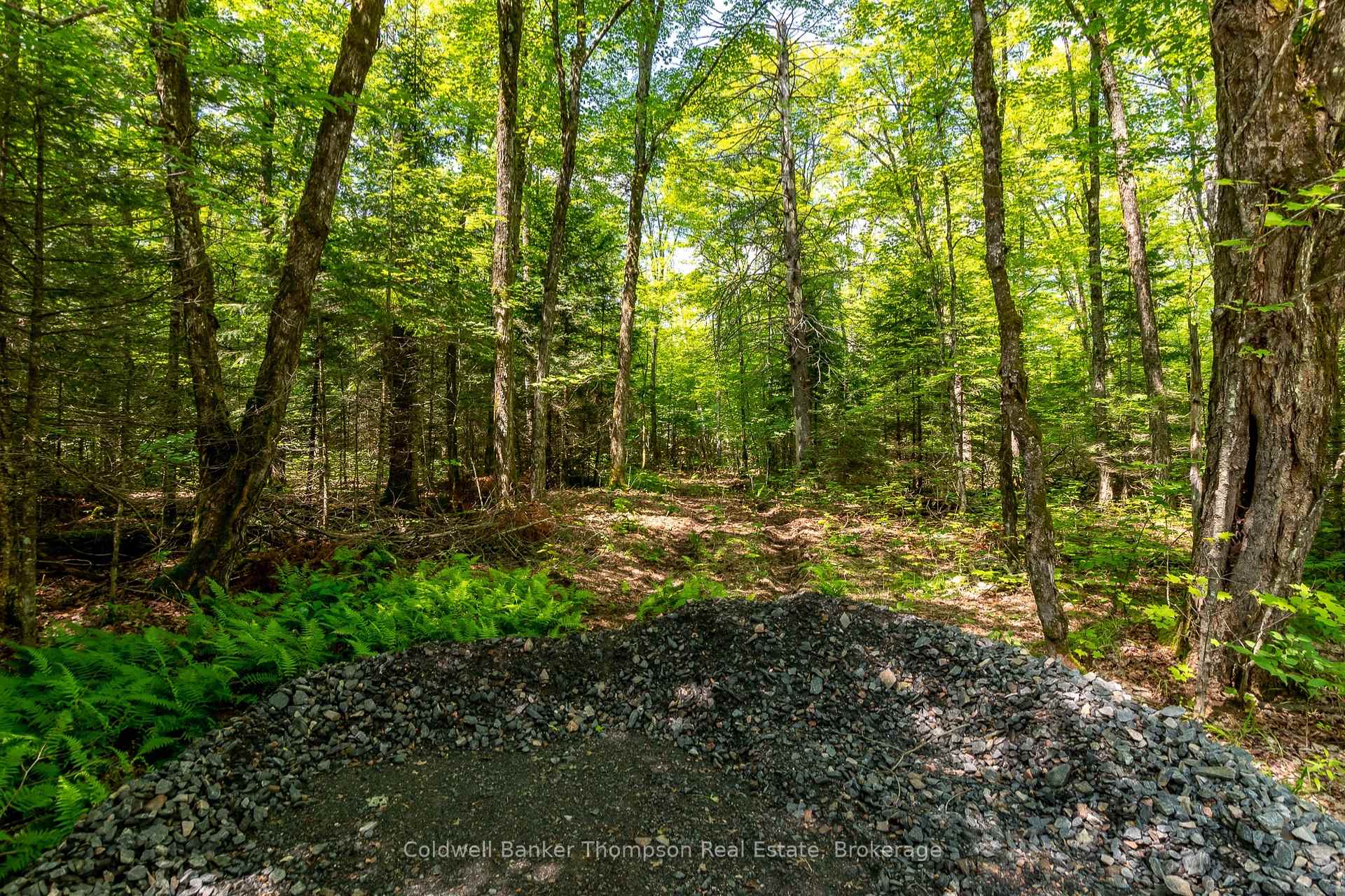 Photo 10 of 162 Ely Side Road, Armour — HOMEH
