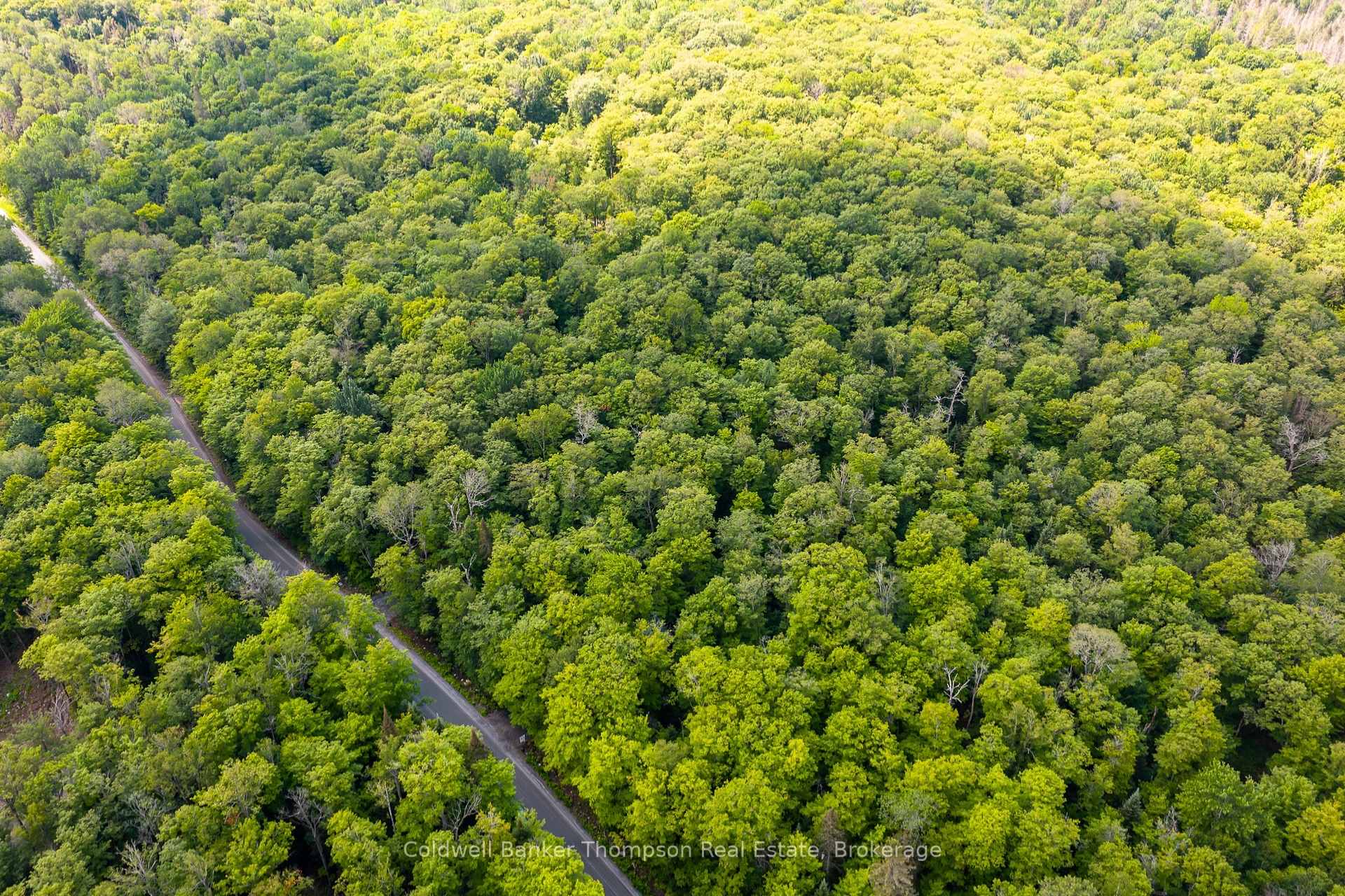 Photo 14 of 162 Ely Side Road, Armour — HOMEH