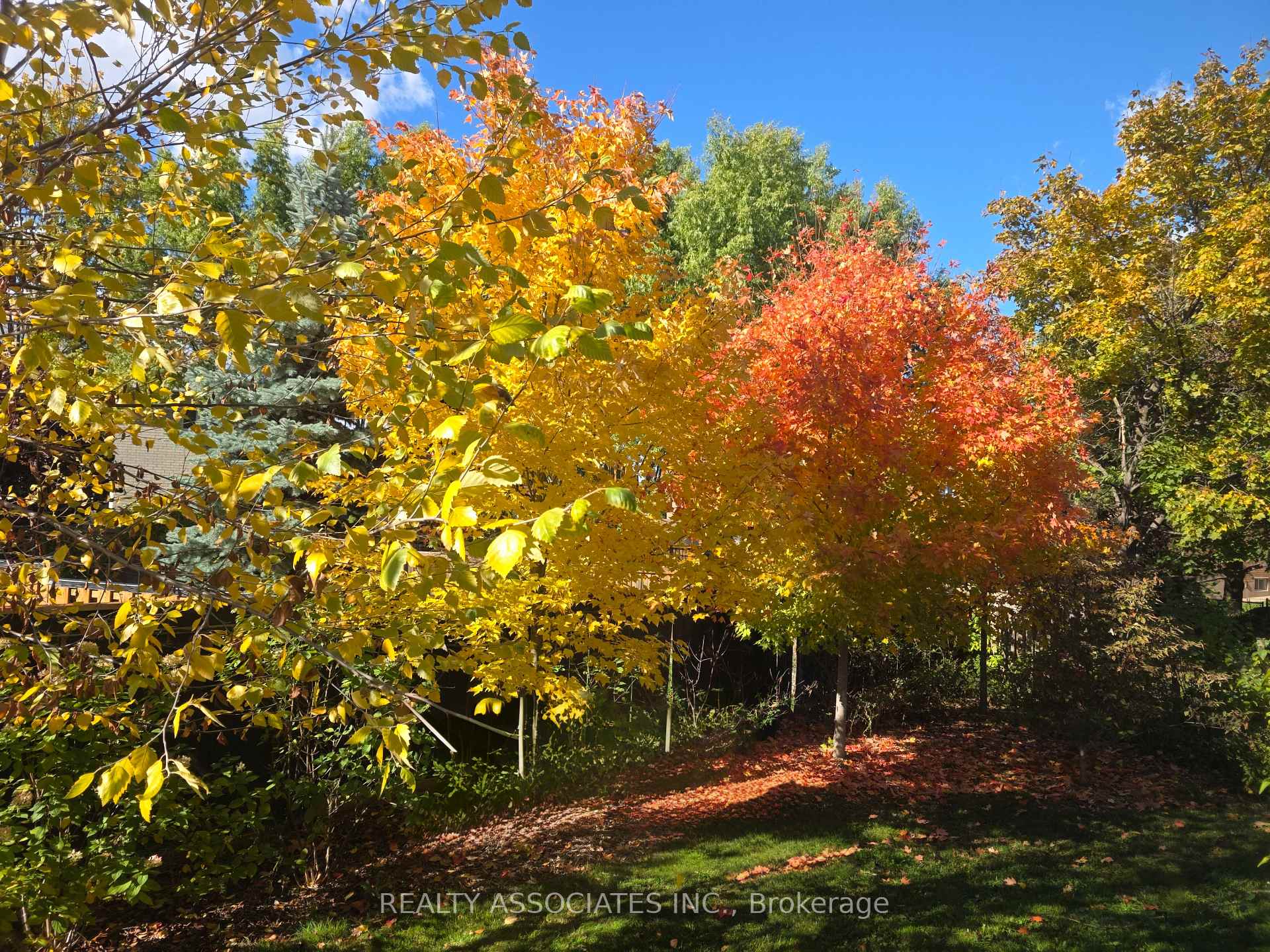 Photo 23 of 128 Coalbrook Court, Vaughan, East Woodbridge — HOMEH