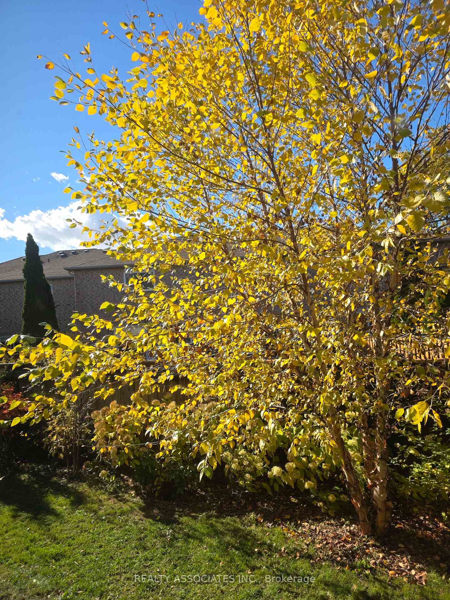 Photo 24 of 128 Coalbrook Court, Vaughan, East Woodbridge — HOMEH