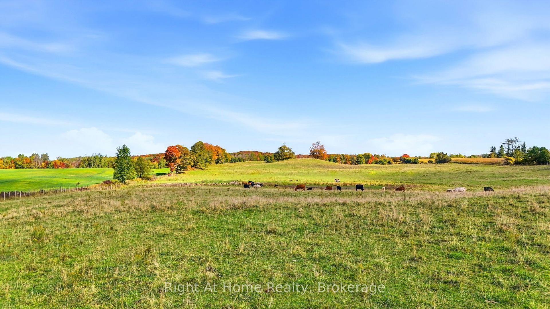 Photo 11 of PT LT 41-41 Concession 1 Road, Huron-Kinloss — HOMEH
