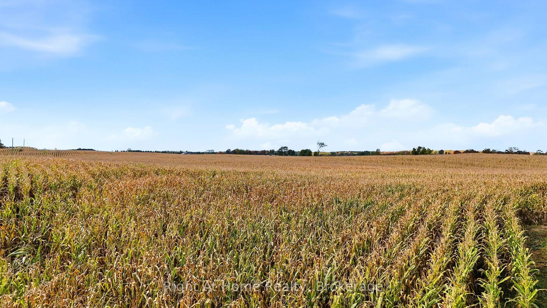 Photo 14 of PT LT 41-41 Concession 1 Road, Huron-Kinloss — HOMEH