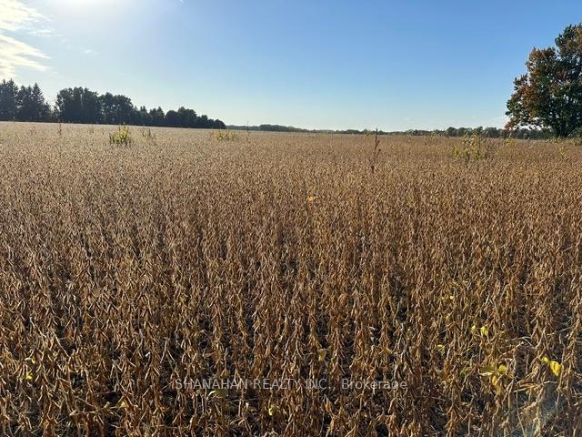 Photo 15 of LOT 31-33 Aughrim Line, Dawn-Euphemia, Dawn Euphemia — HOMEH