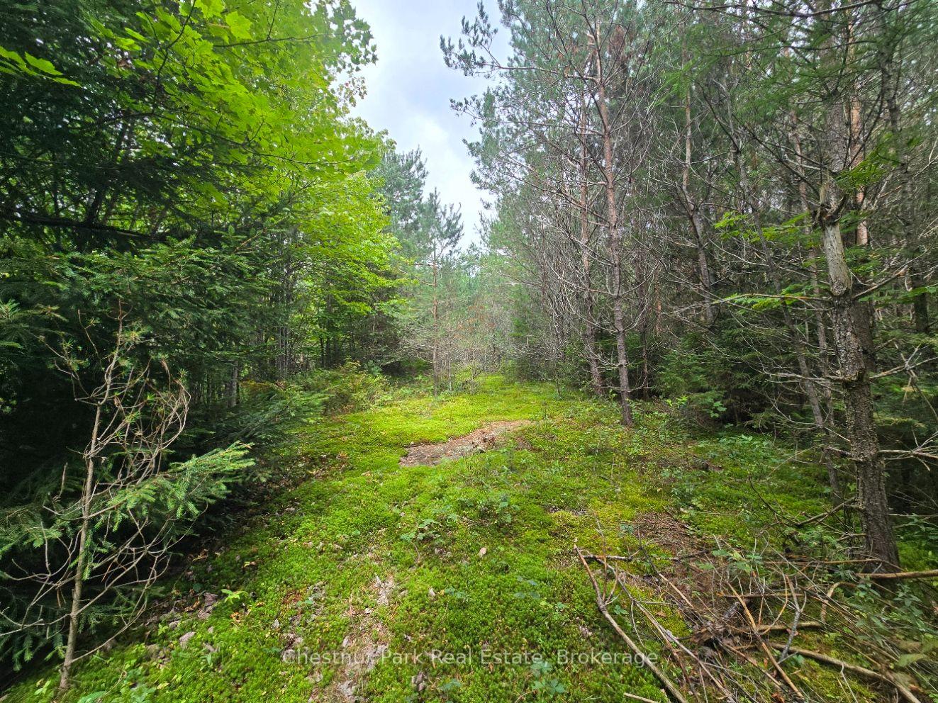 Photo 2 of 00 Old Track Road, Perry — HOMEH