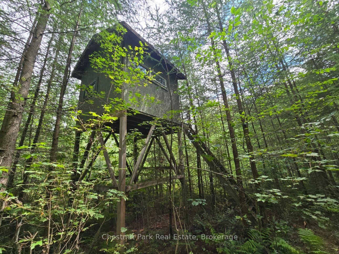Photo 4 of 00 Old Track Road, Perry — HOMEH