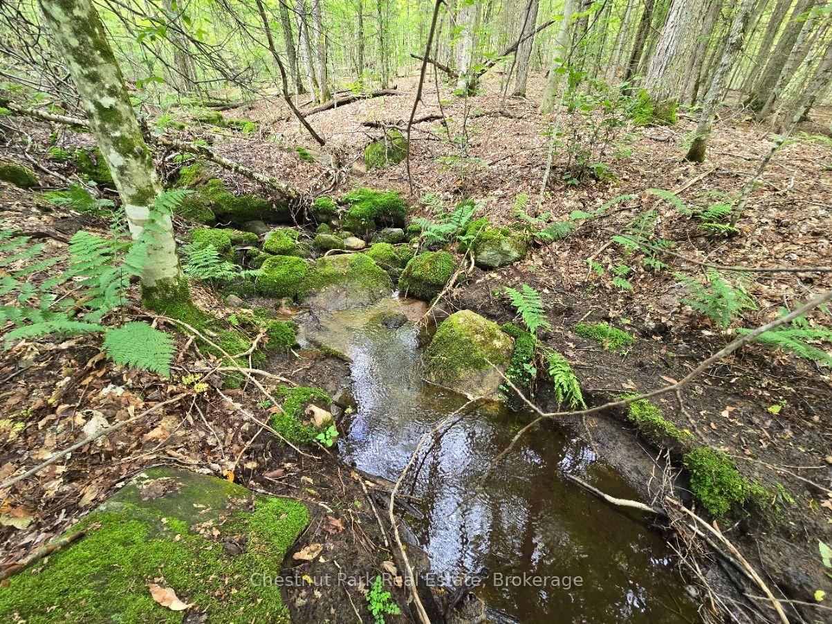 Photo 5 of 00 Old Track Road, Perry — HOMEH